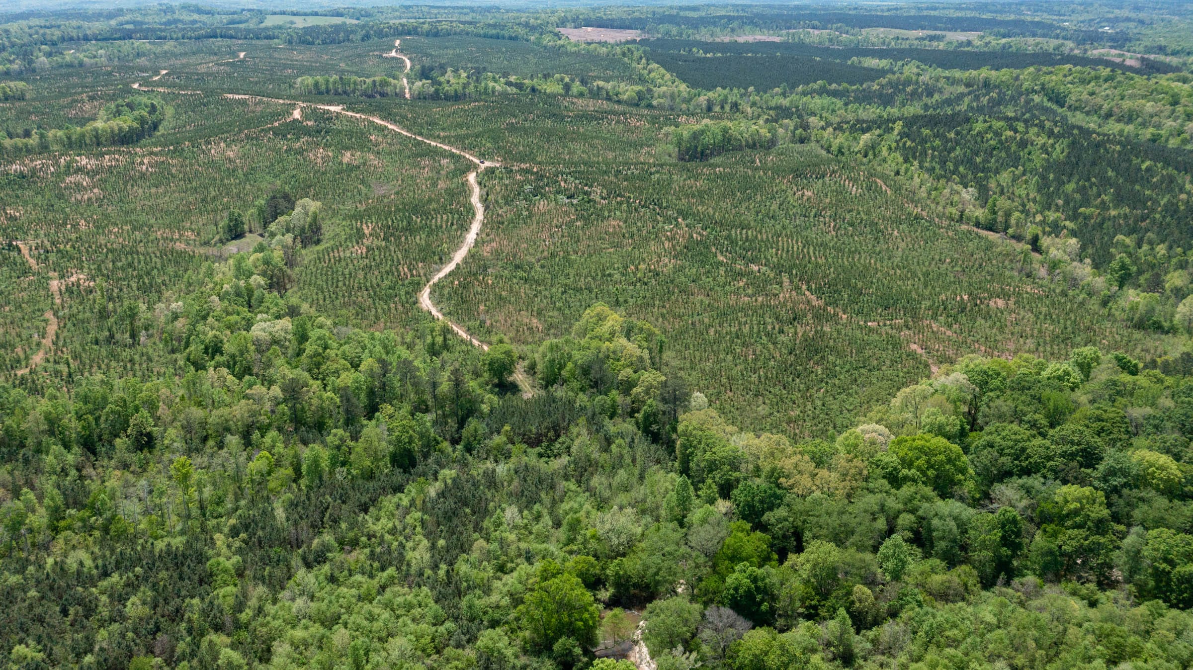 Clear Wood Tract 36 photo 5