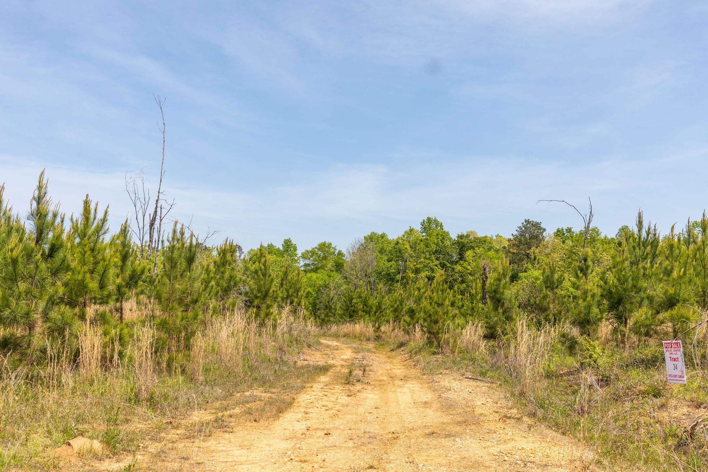 Clear Wood Tract 36 photo 8