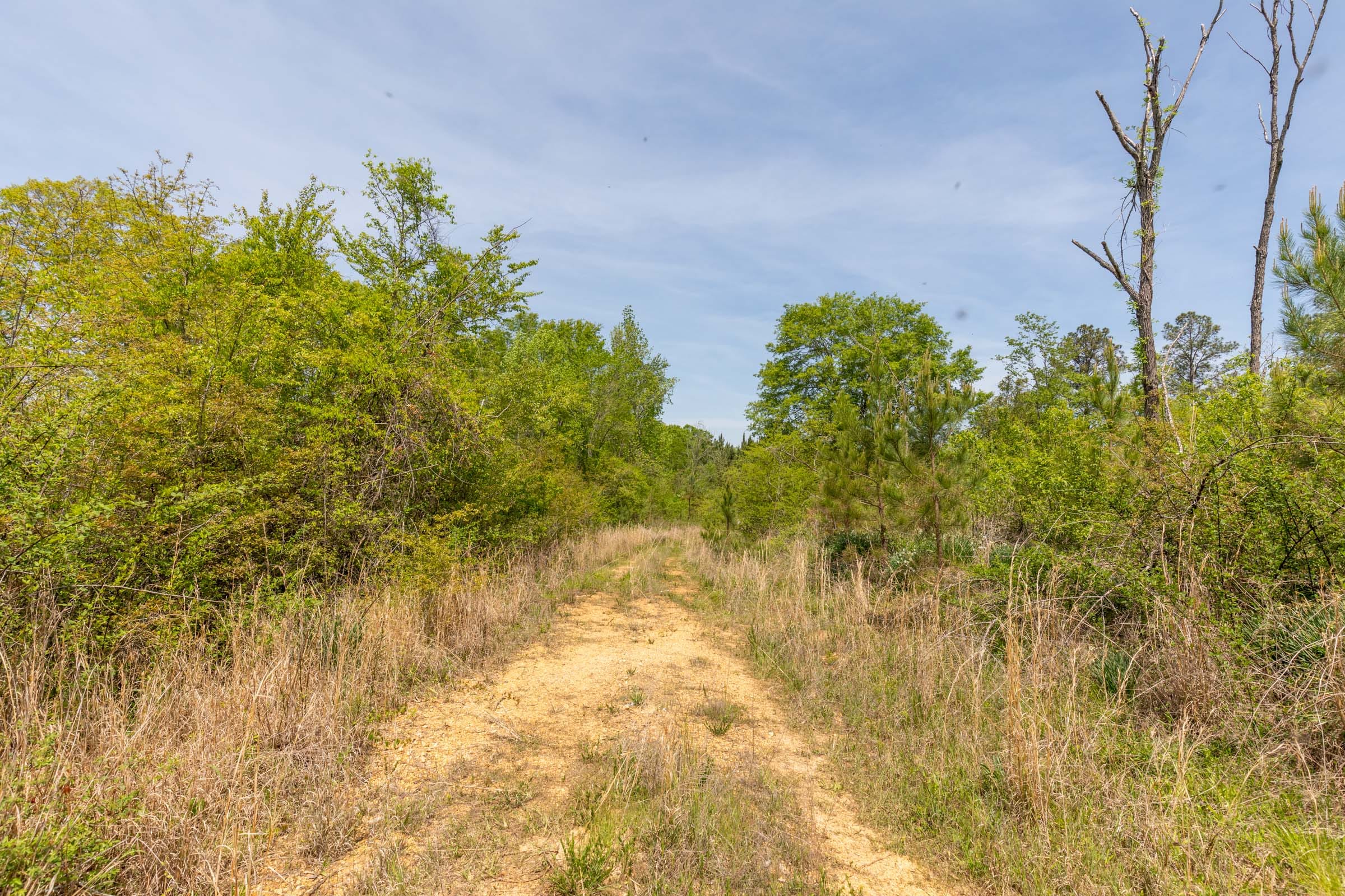 Clear Wood Tract 36 photo 17
