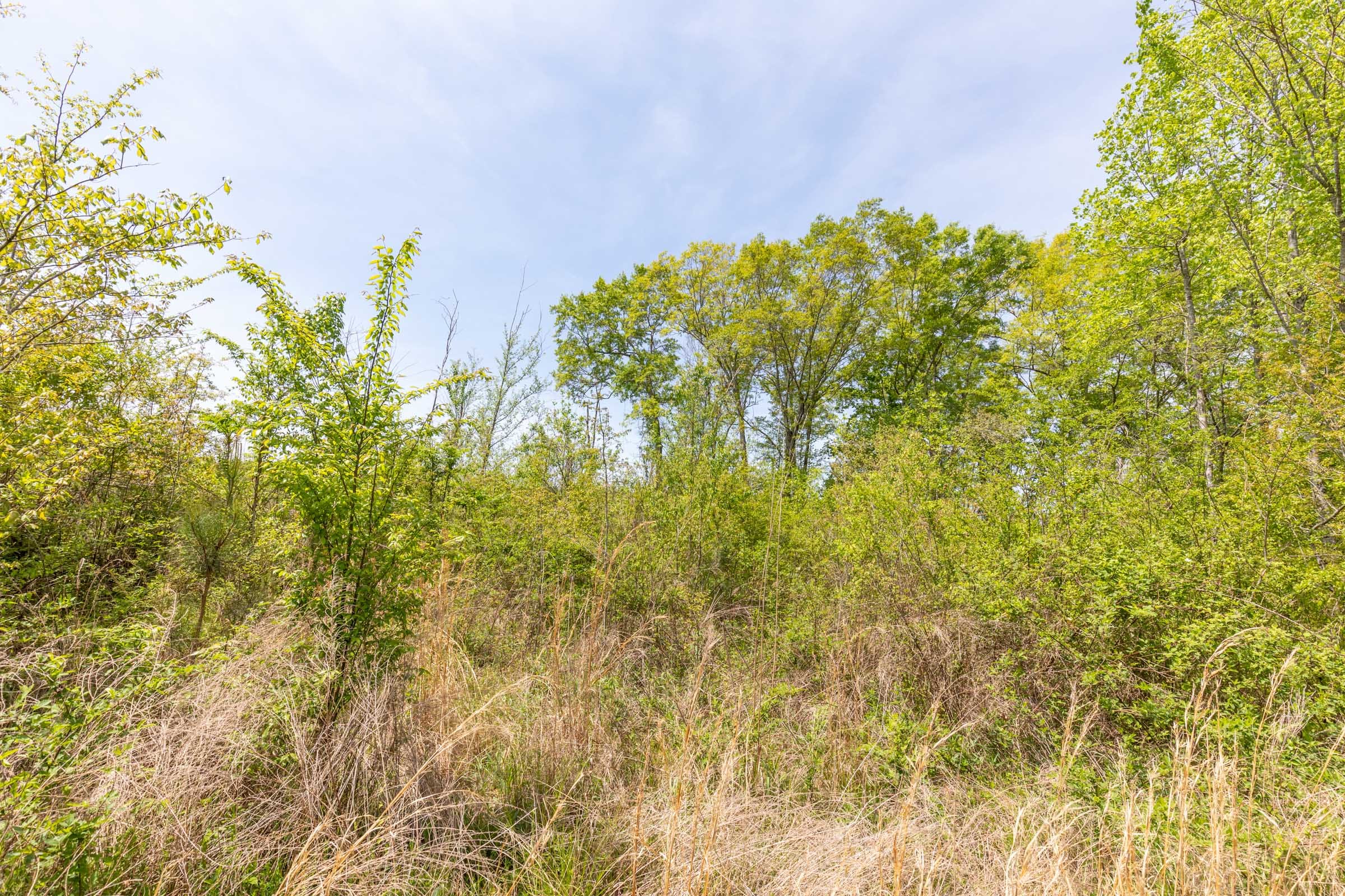 Clear Wood Tract 36 photo 19