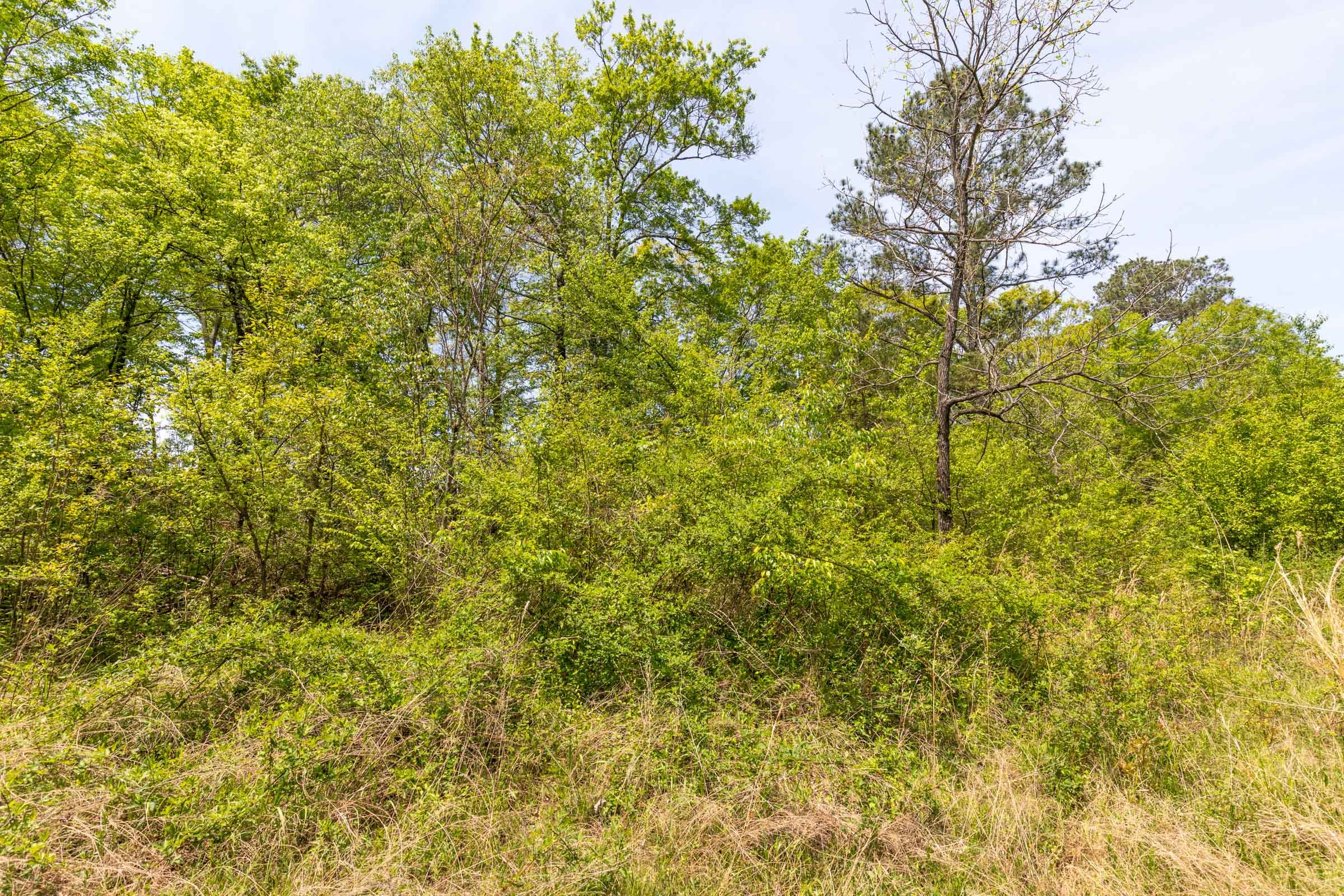 Clear Wood Tract 36 photo 21