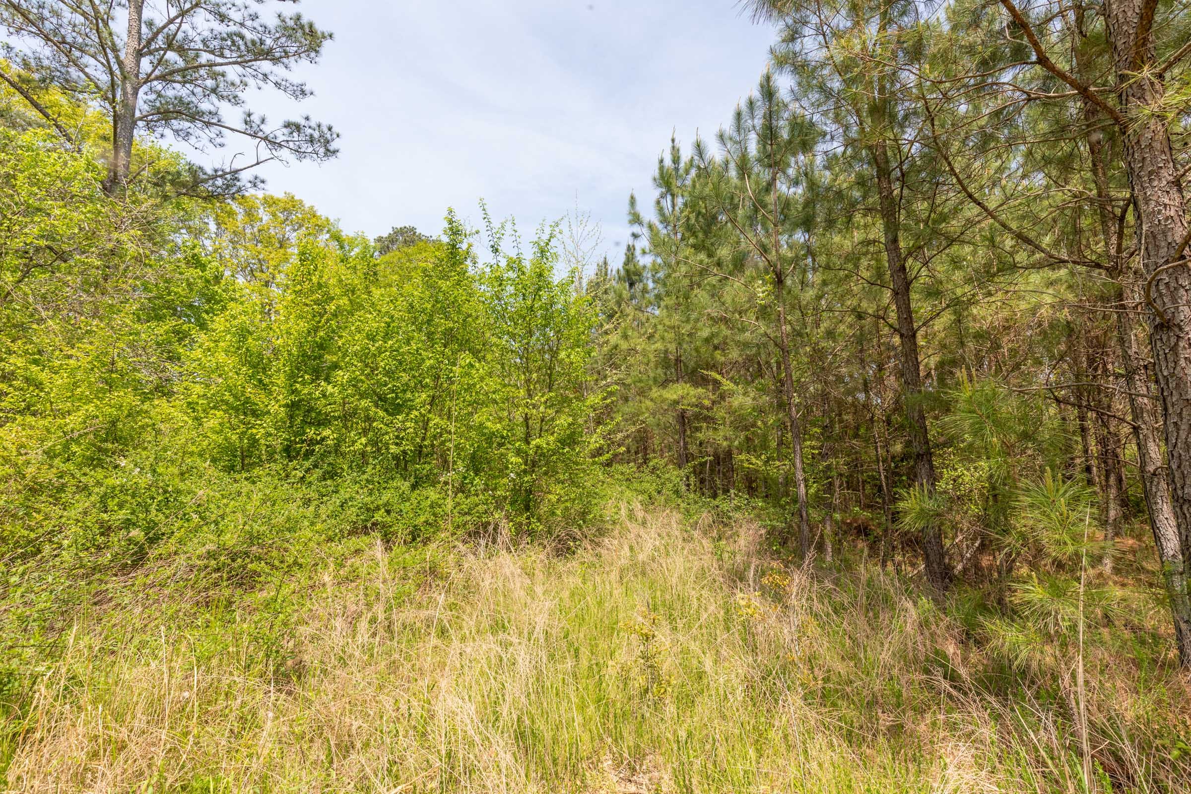 Clear Wood Tract 36 photo 22