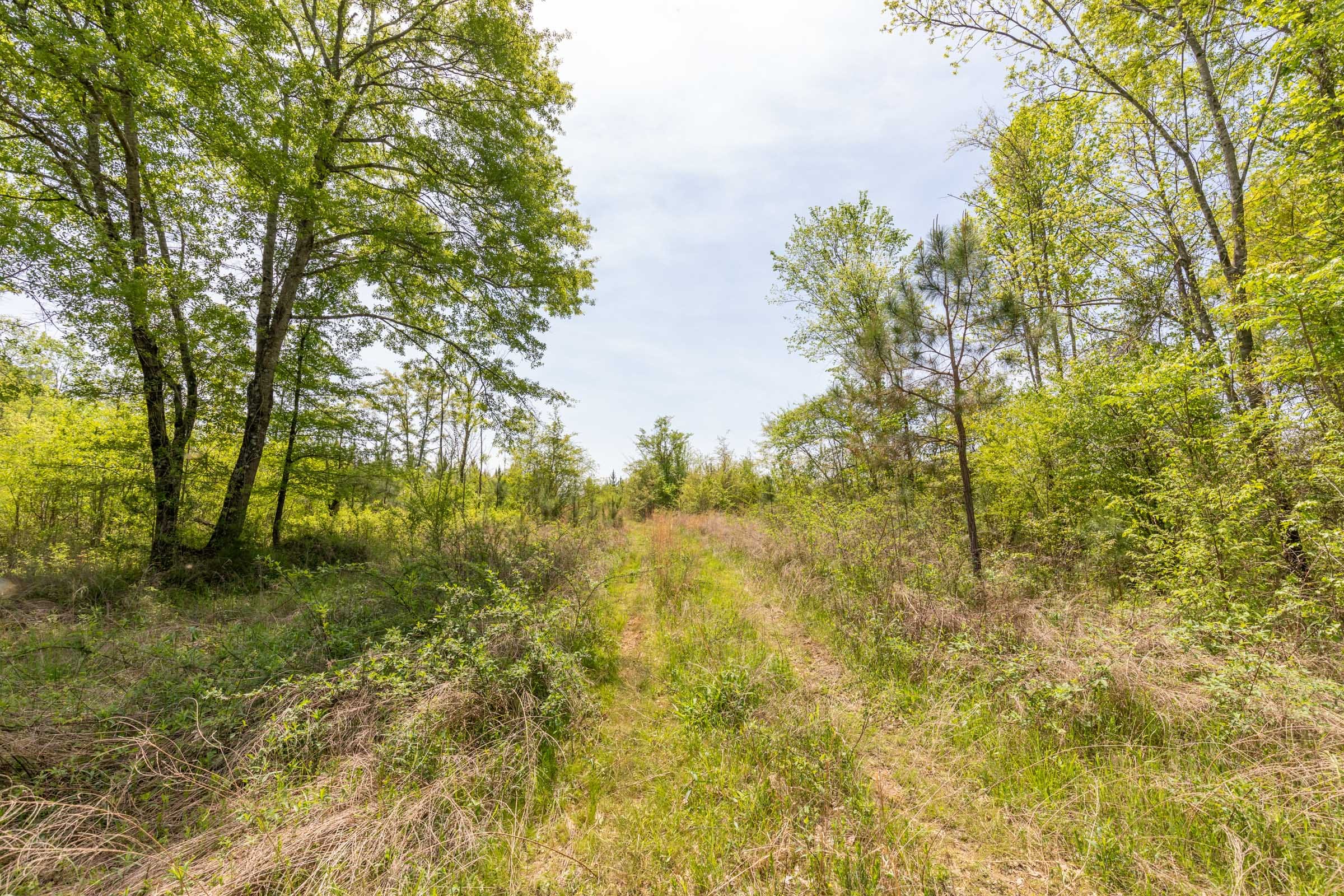 Clear Wood Tract 36 photo 1