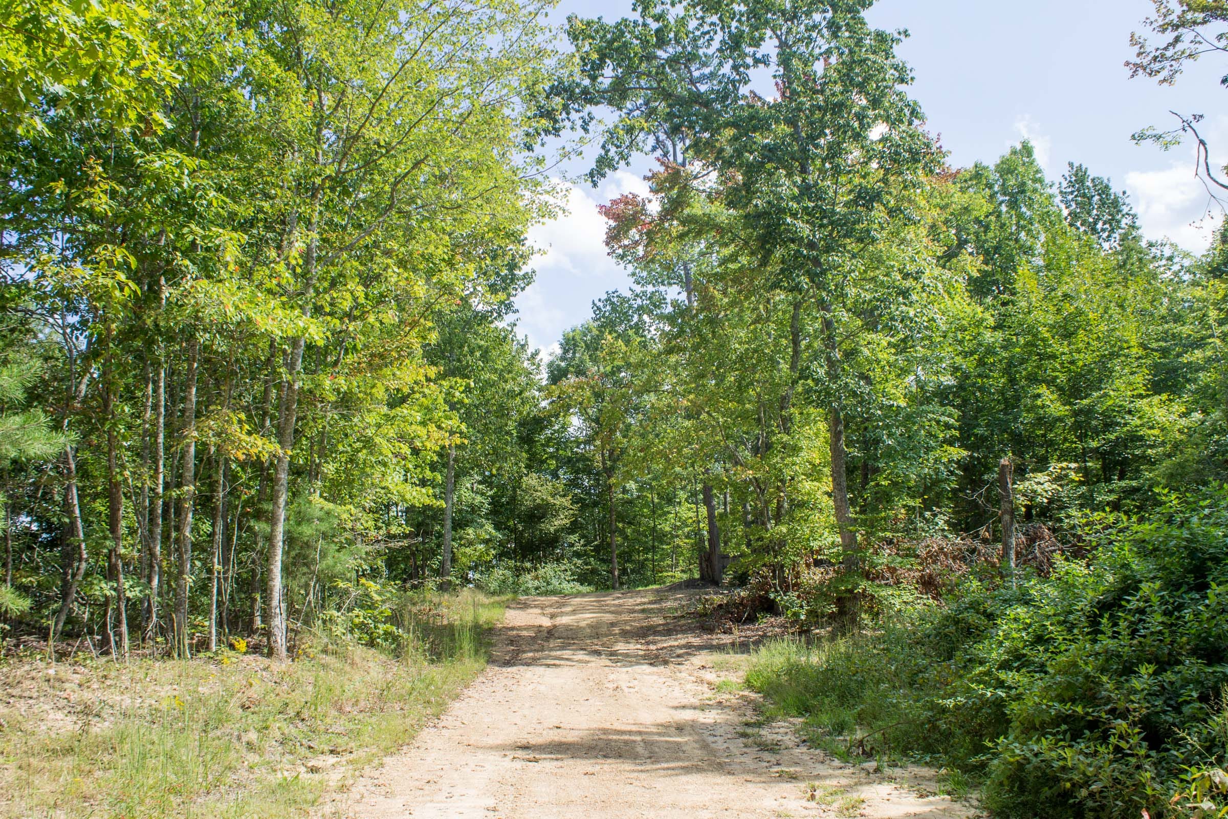 Buck Run Ridge Tract 2 photo 2