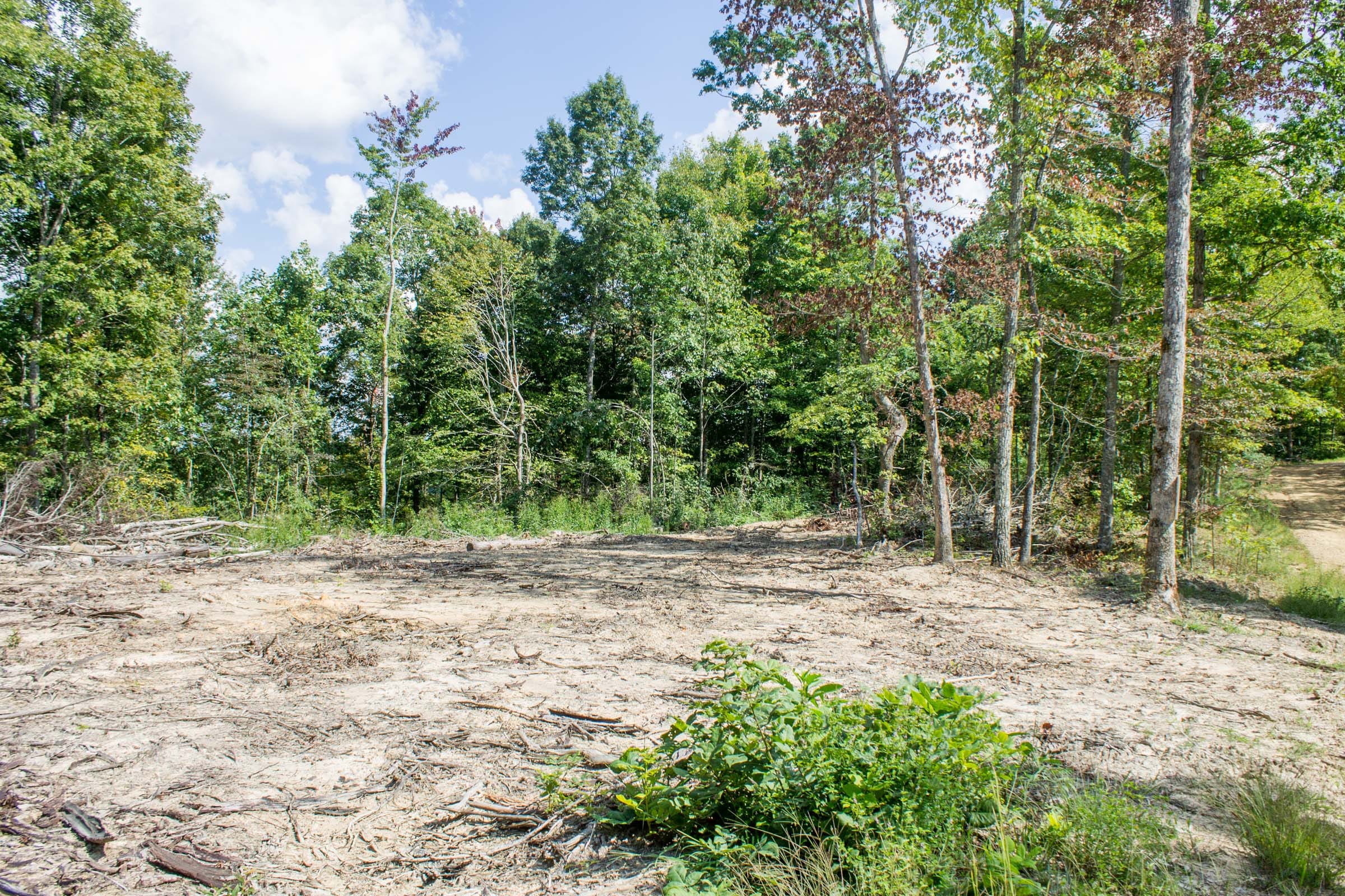 Buck Run Ridge Tract 2 photo 4
