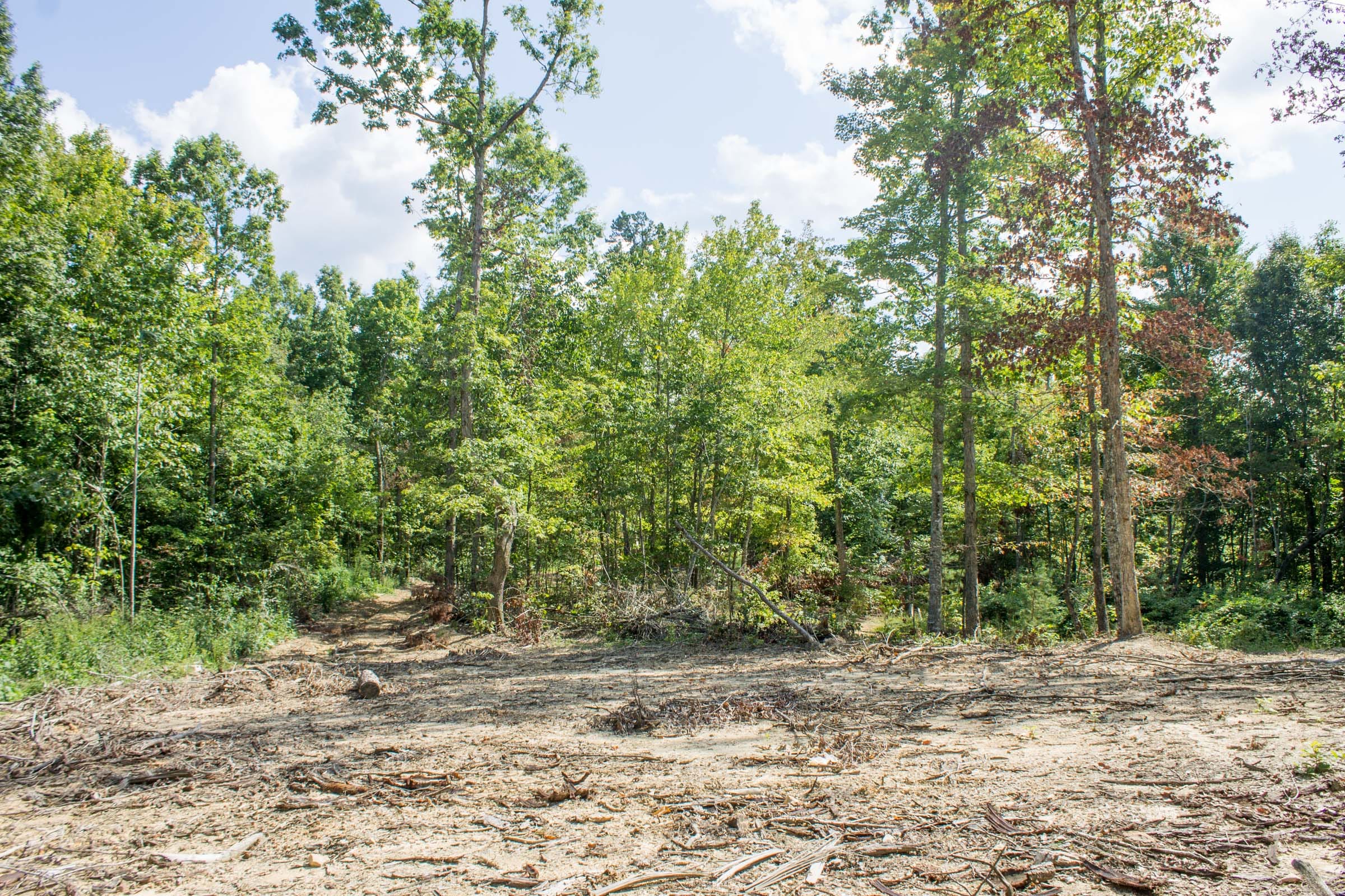 Buck Run Ridge Tract 2 photo 5