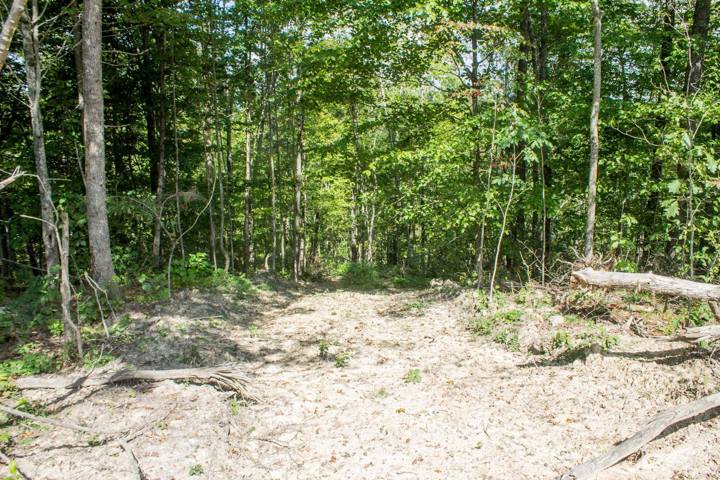 Buck Run Ridge Tract 2 photo 6