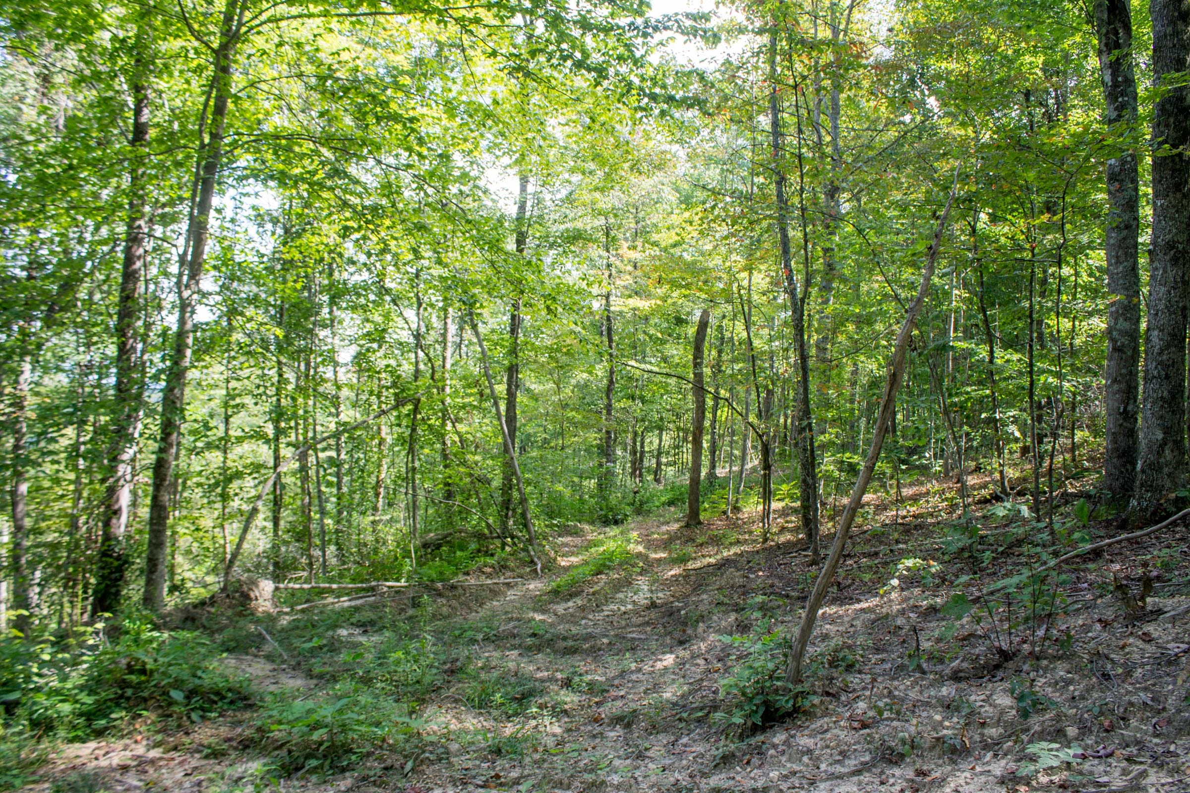 Buck Run Ridge Tract 2 photo 8