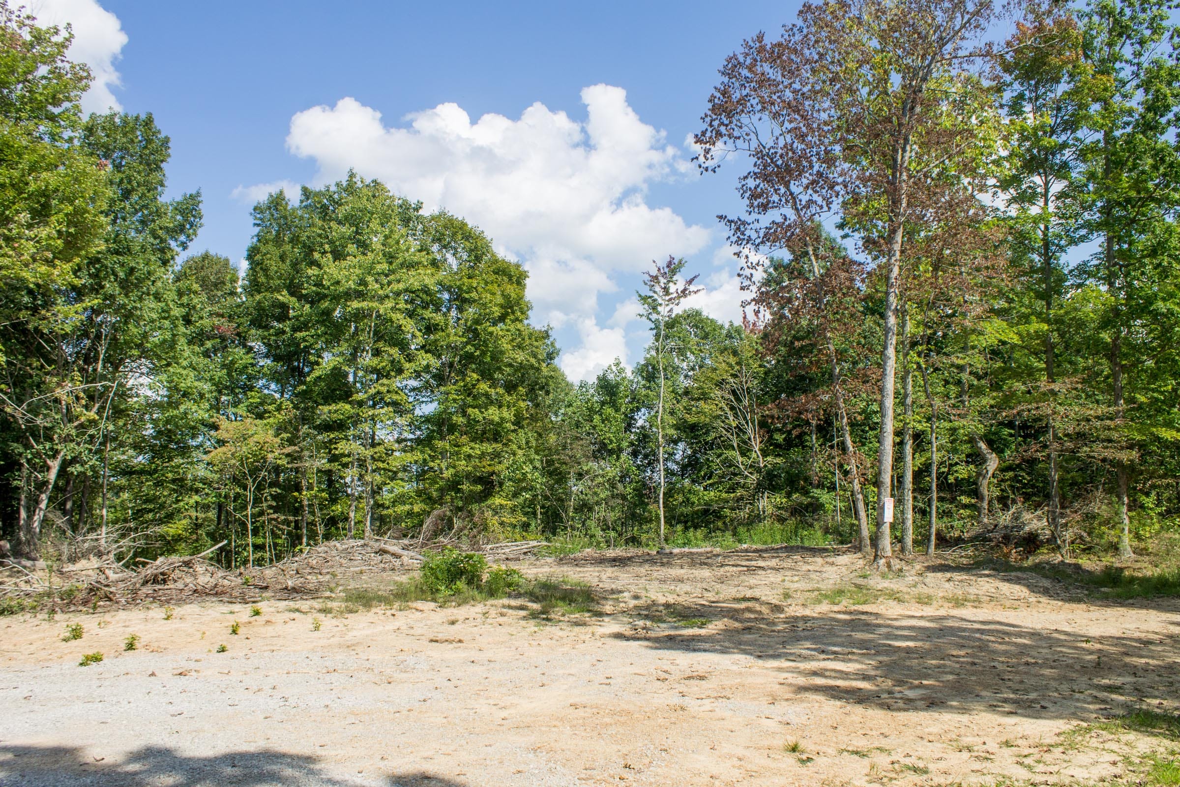 Buck Run Ridge Tract 2 photo 12
