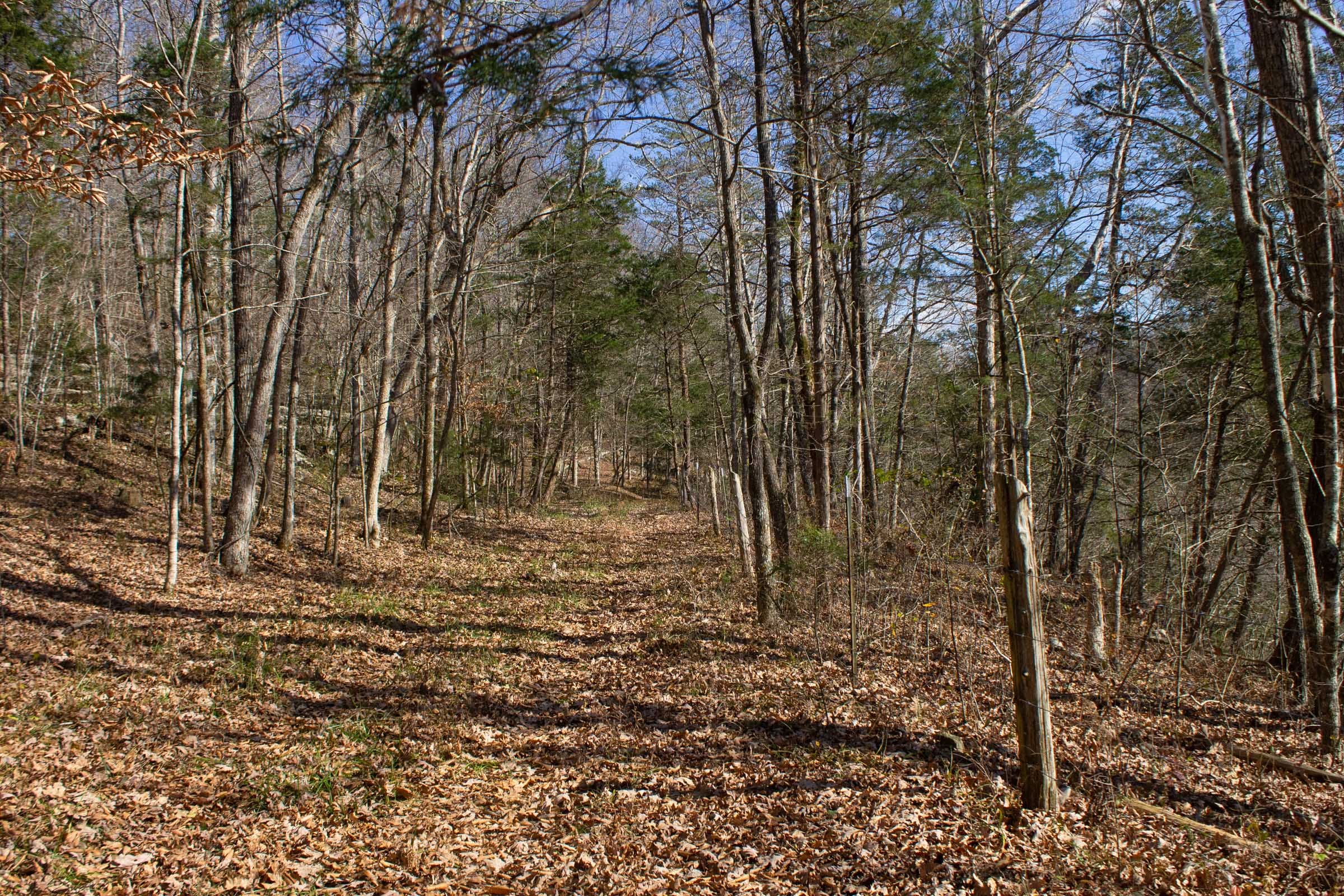 The Cliffs Tract 4 photo 1