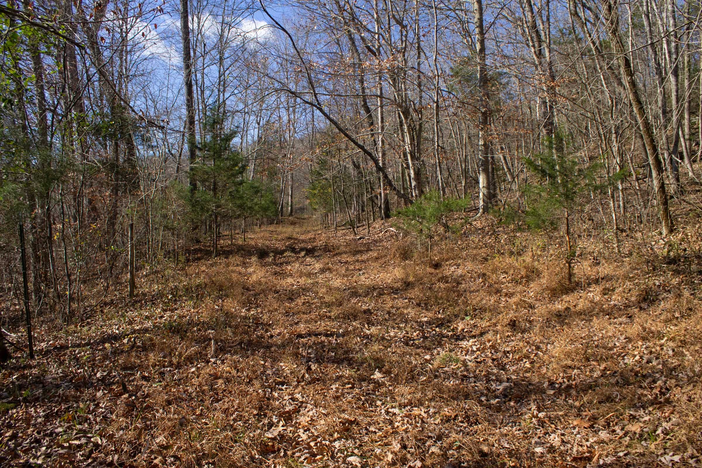 The Cliffs Tract 4 photo 2