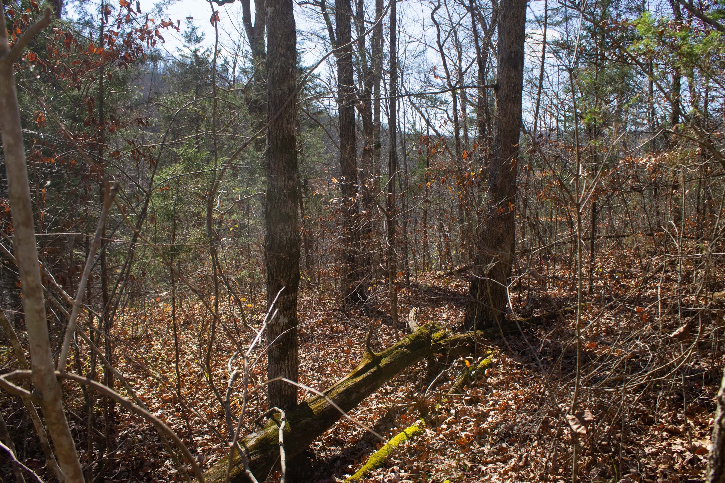 The Cliffs Tract 4 photo 3