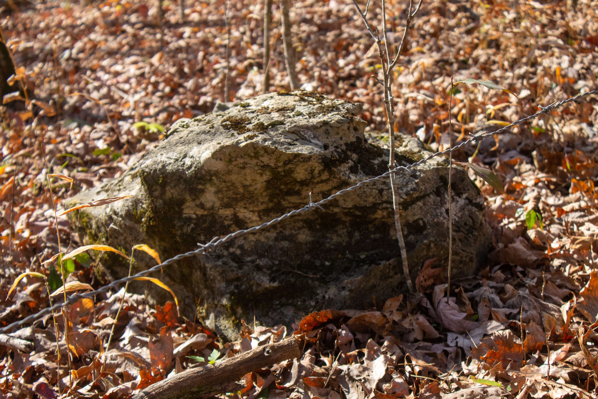 The Cliffs Tract 4 photo 5