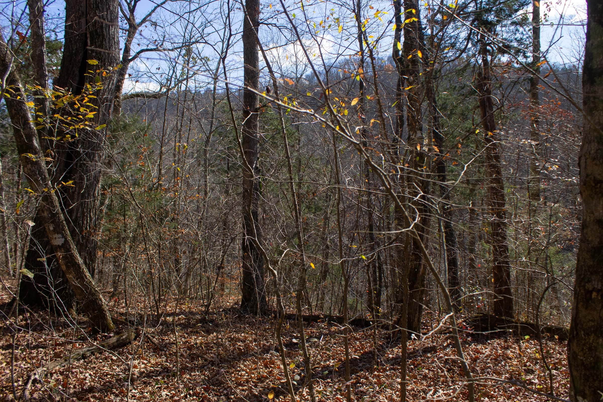 The Cliffs Tract 4 photo 6