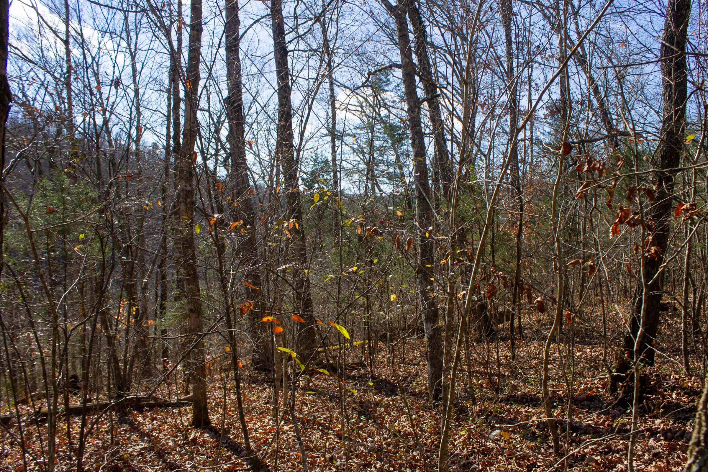 The Cliffs Tract 4 photo 7