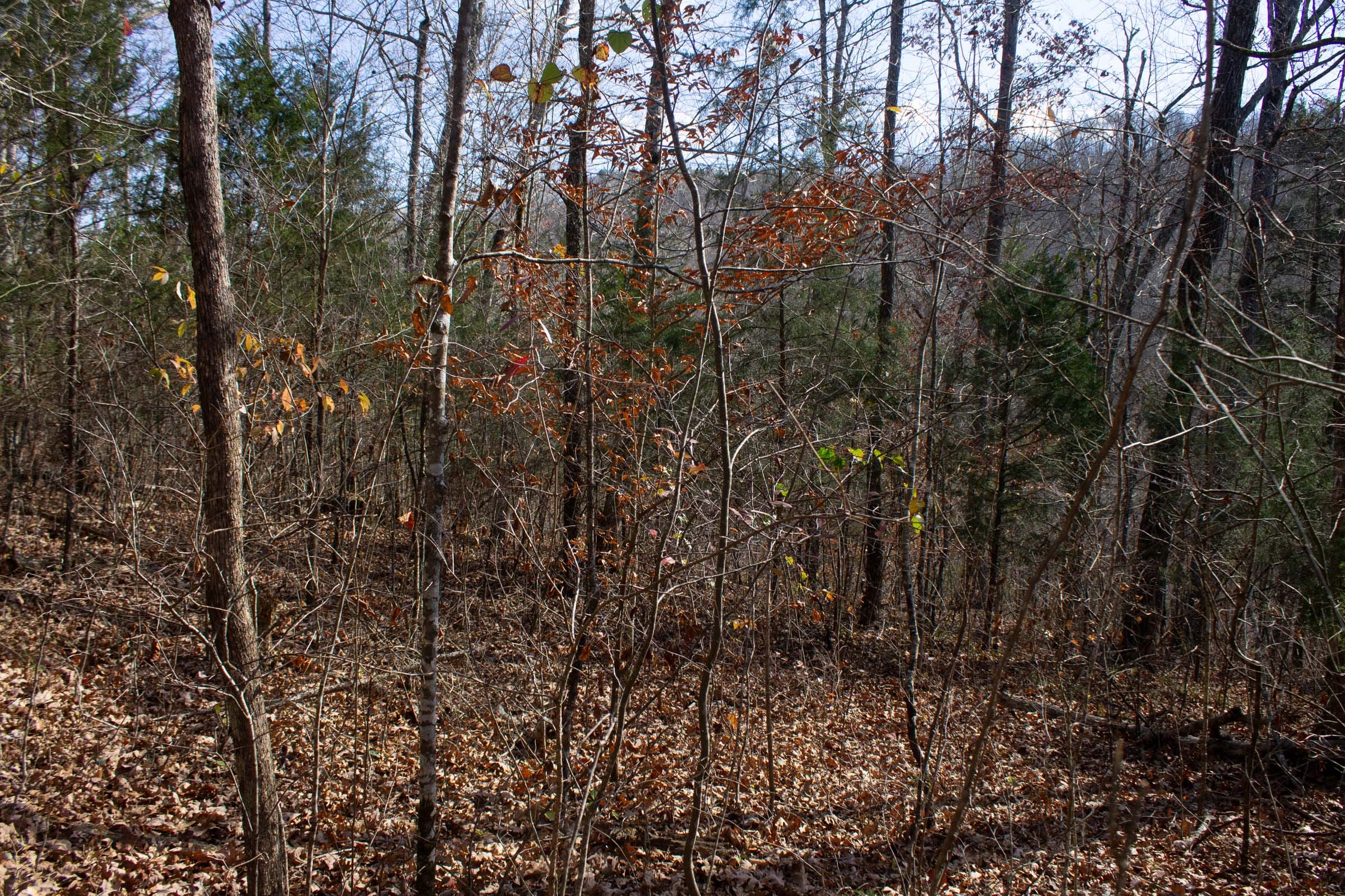 The Cliffs Tract 4 photo 8
