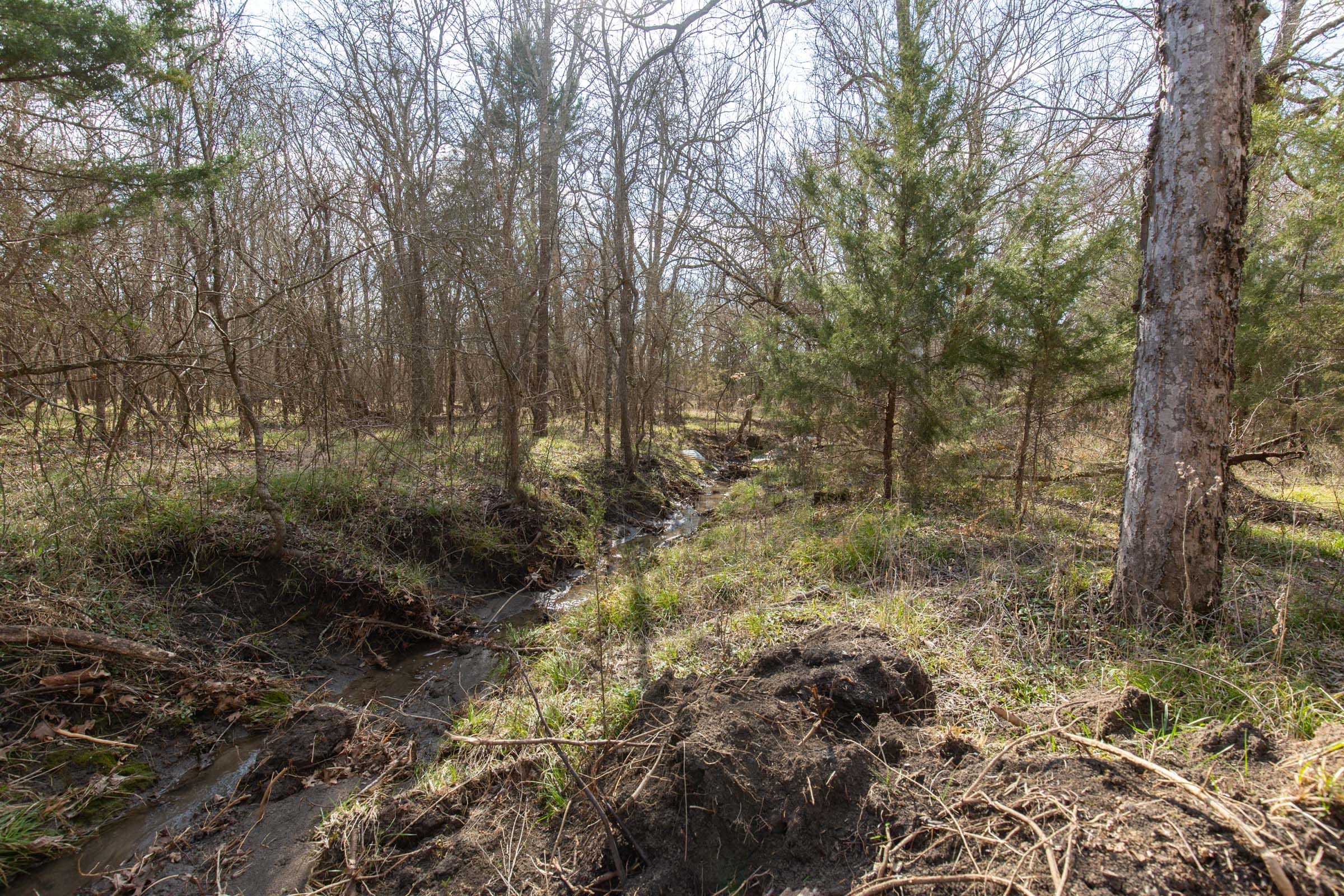 Wishing Star Ranch Tract 66 photo 2