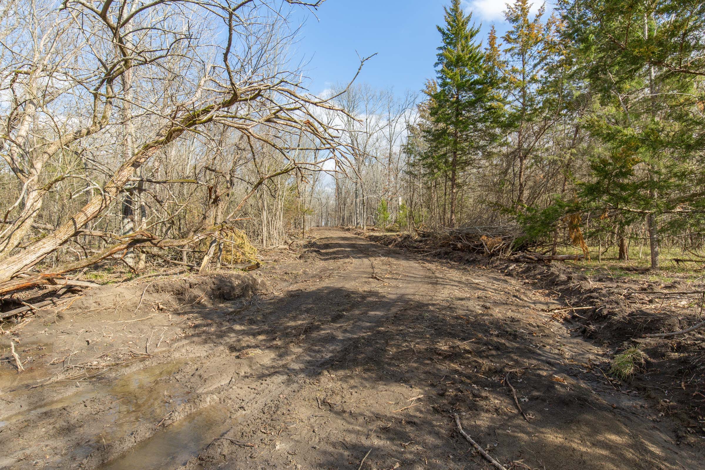 Wishing Star Ranch Tract 66 photo 3