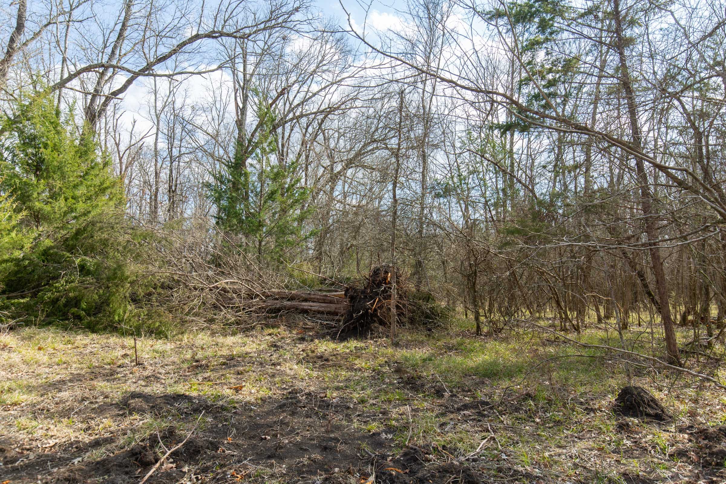 Wishing Star Ranch Tract 66 photo 4