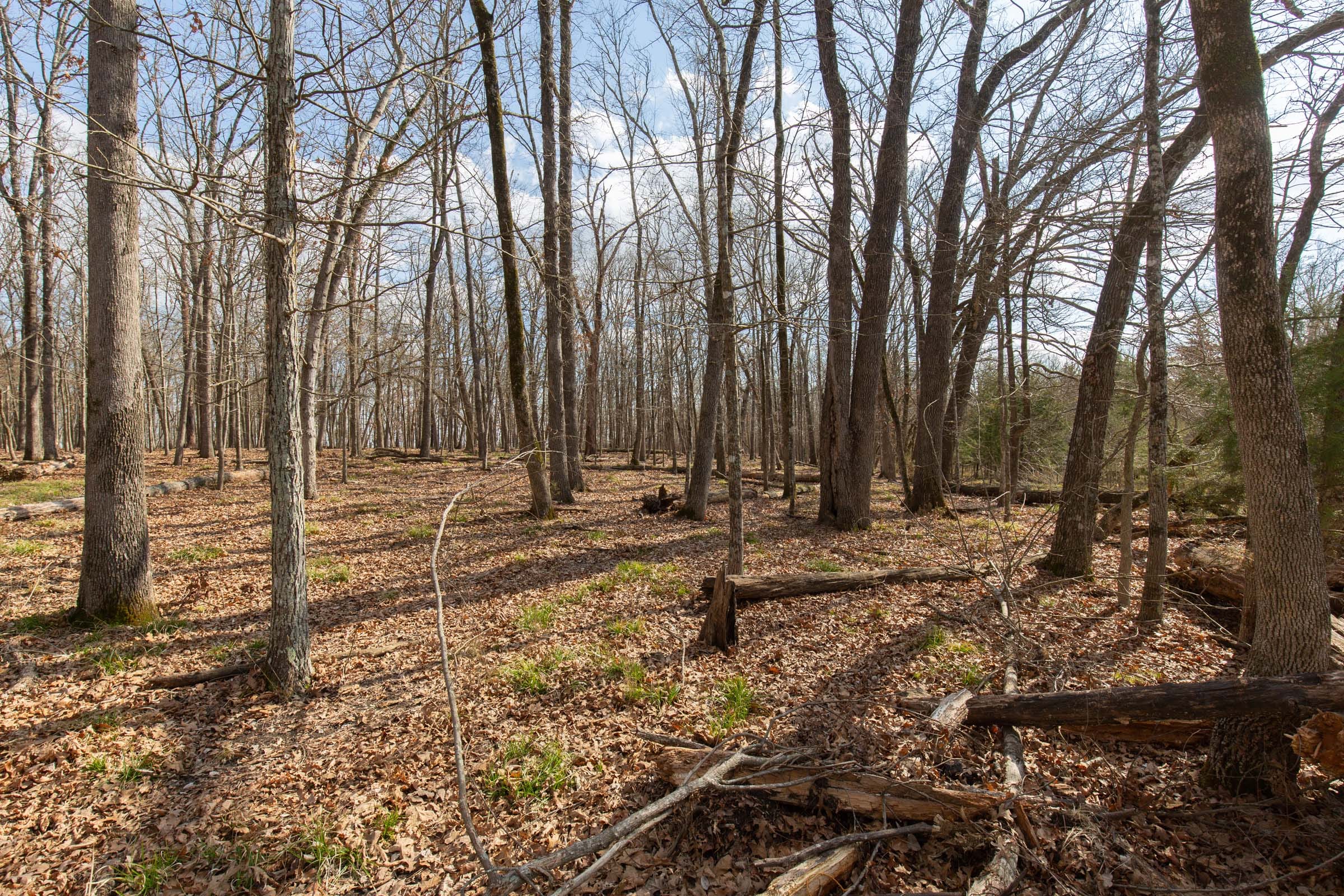 Wishing Star Ranch Tract 66 photo 5