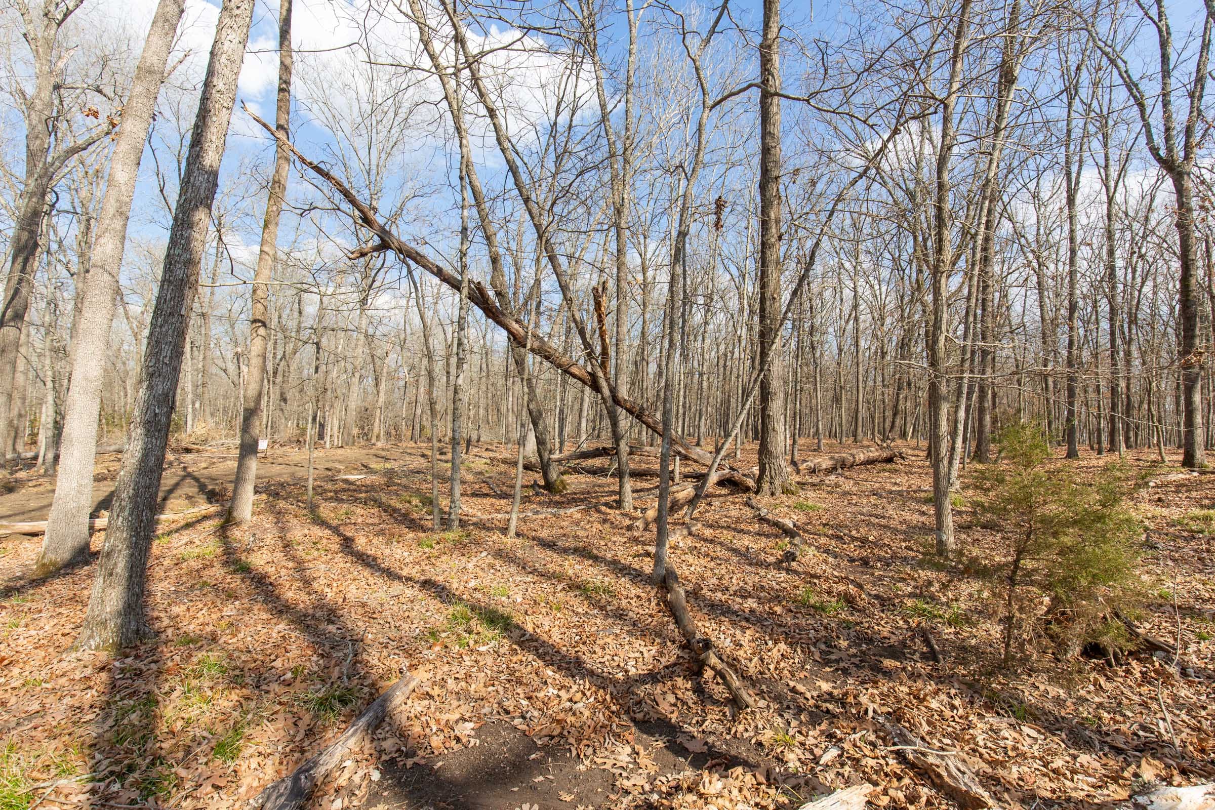 Wishing Star Ranch Tract 66 photo 9