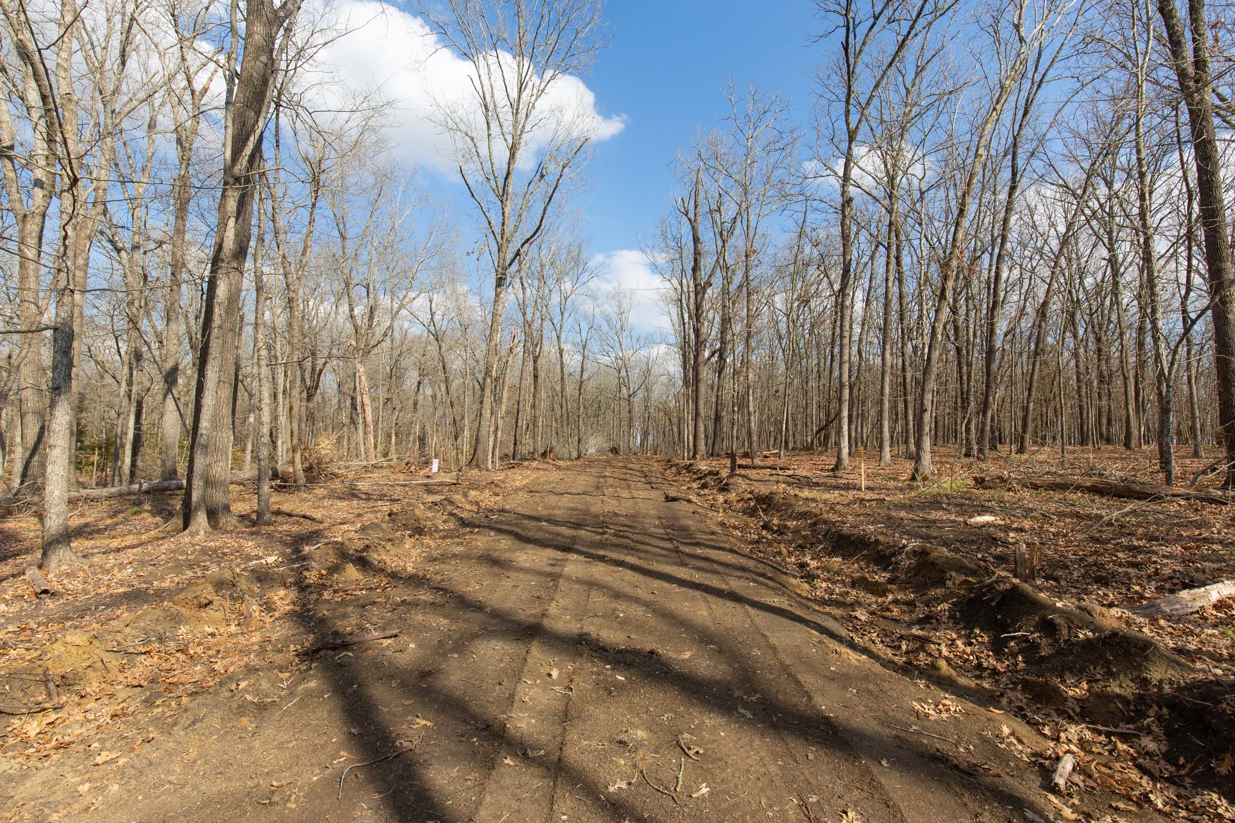 Wishing Star Ranch Tract 66 photo 1