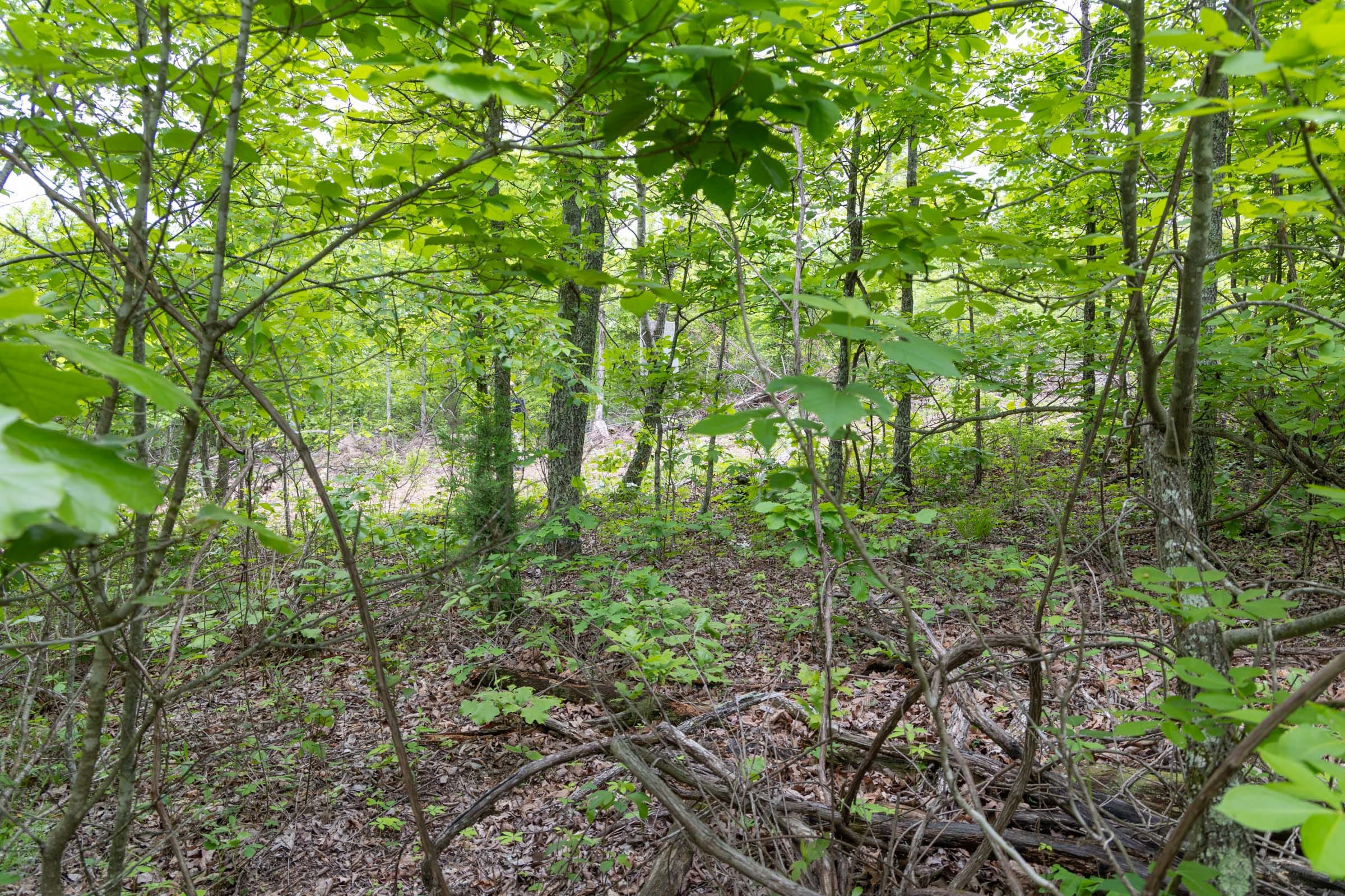 Sleepy Hollow Phase II Tract 91 photo 12