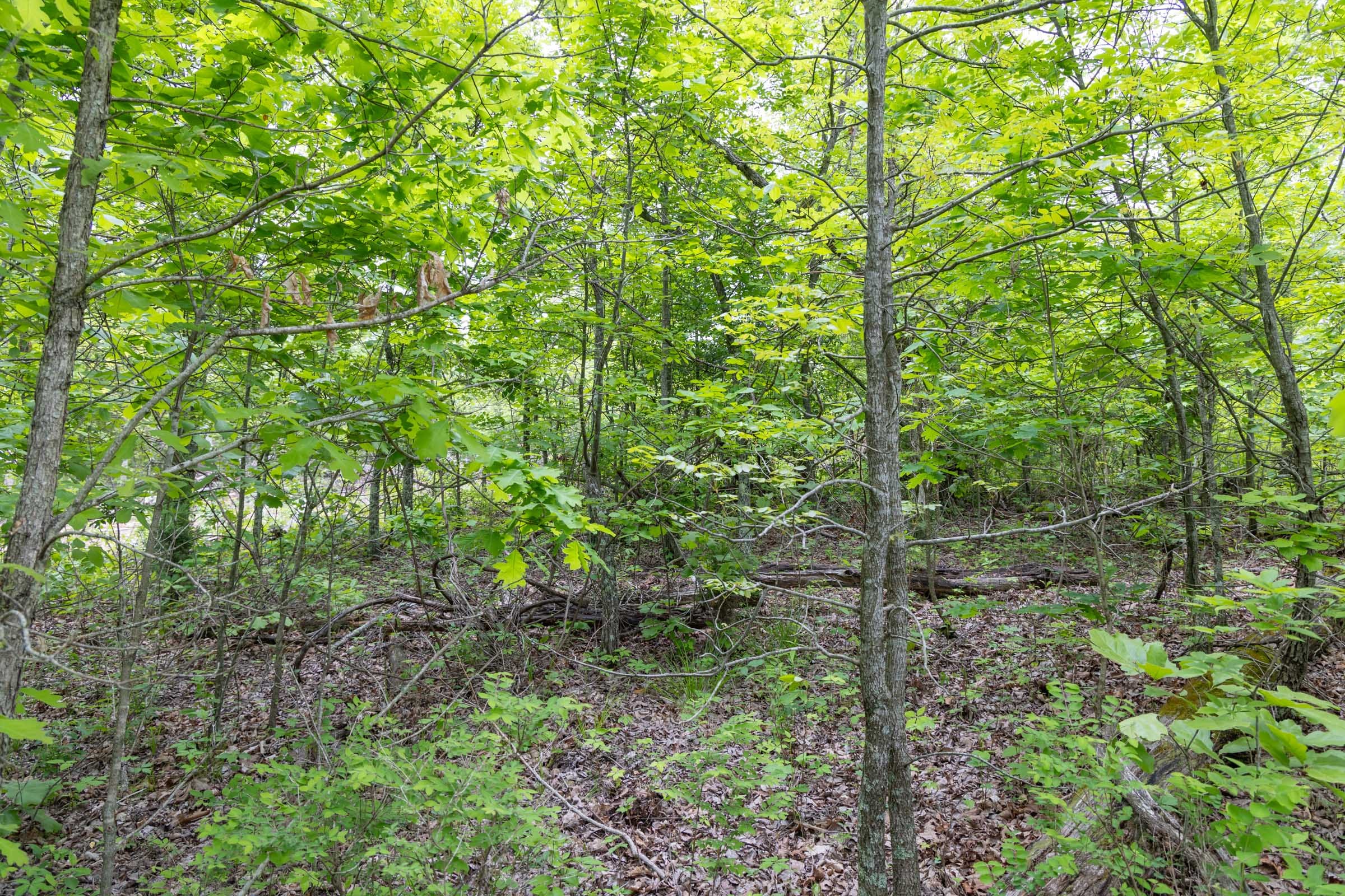 Sleepy Hollow Phase II Tract 91 photo 11