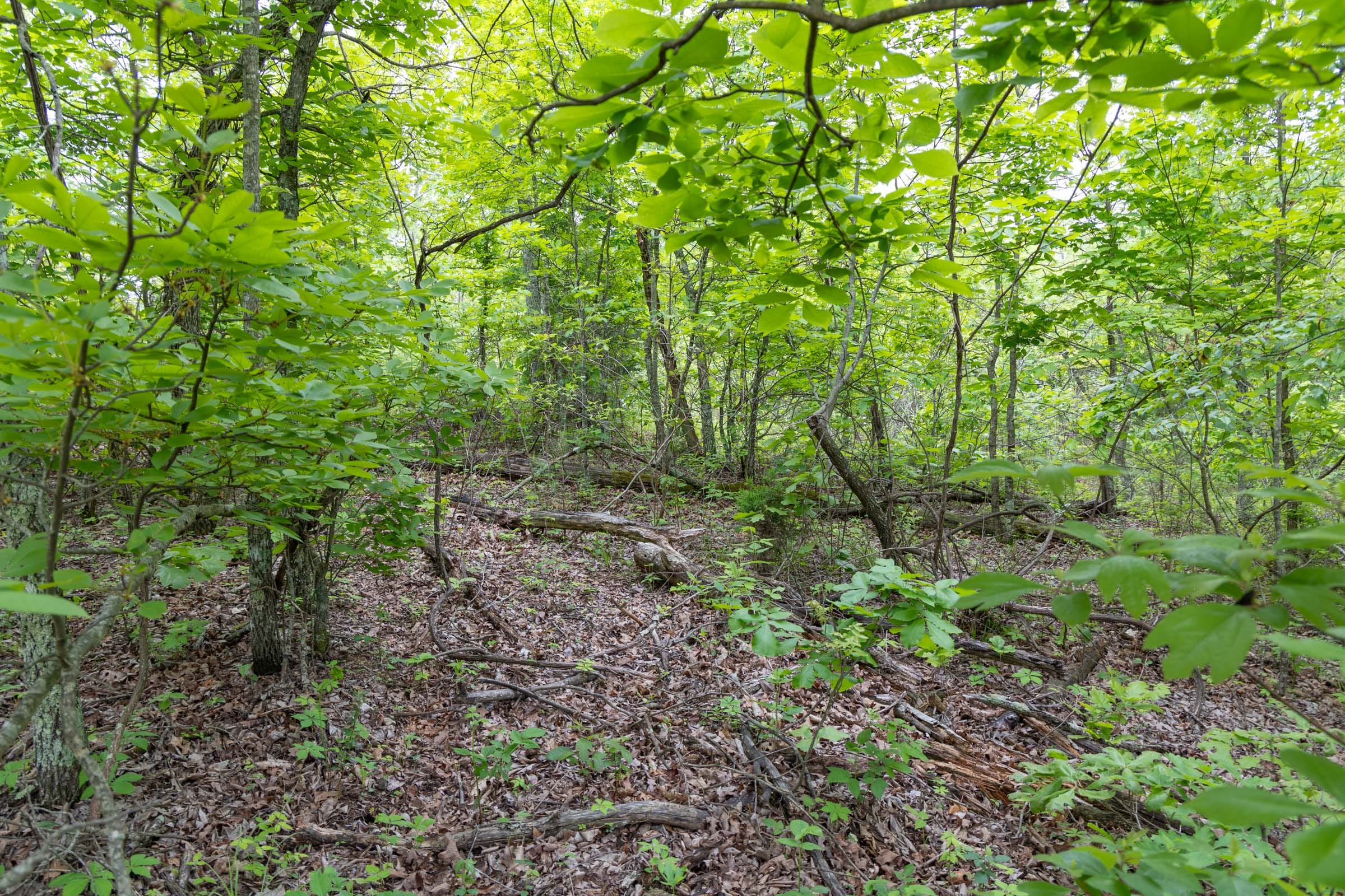 Sleepy Hollow Phase II Tract 91 photo 8