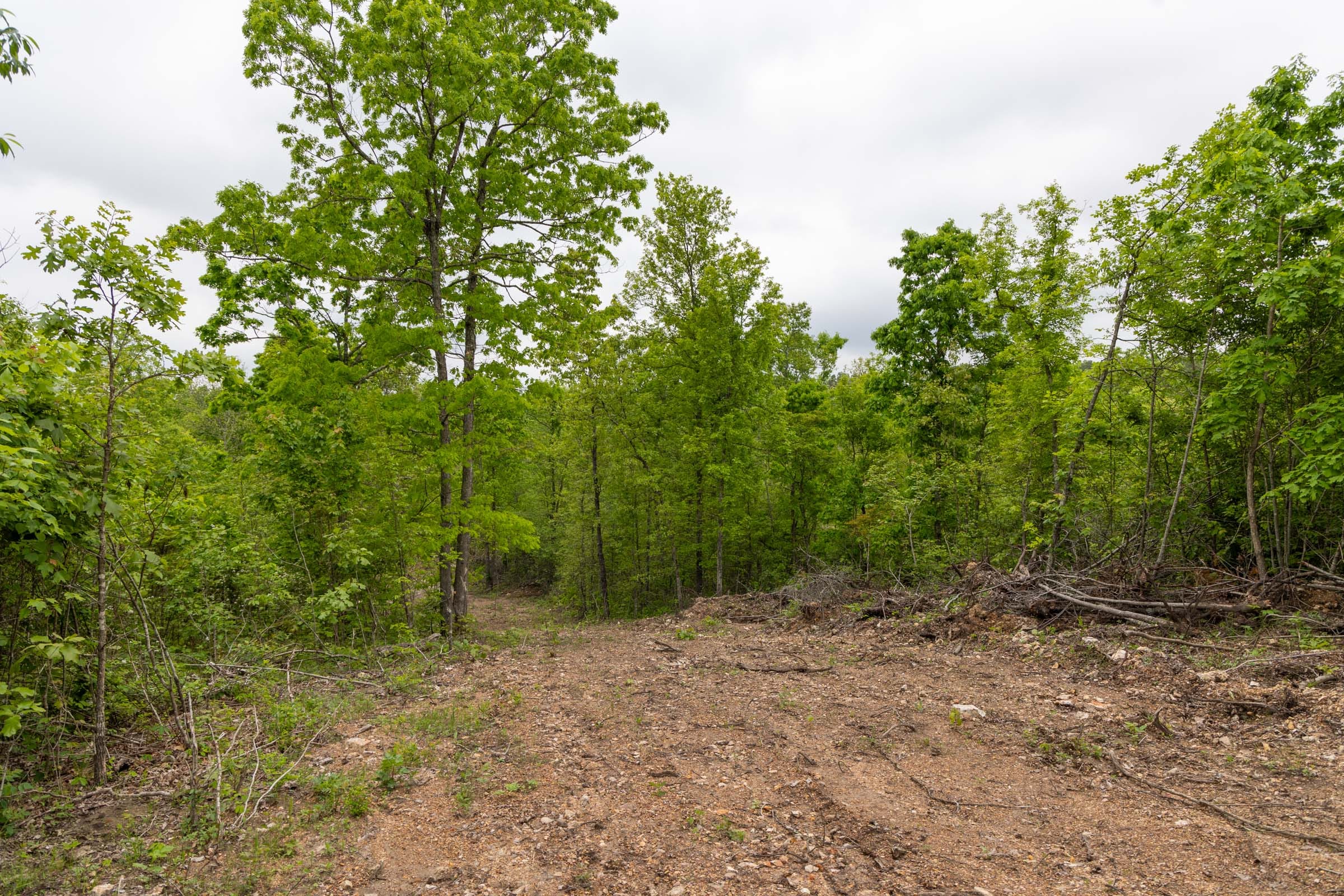 Sleepy Hollow Phase II Tract 91 photo 4