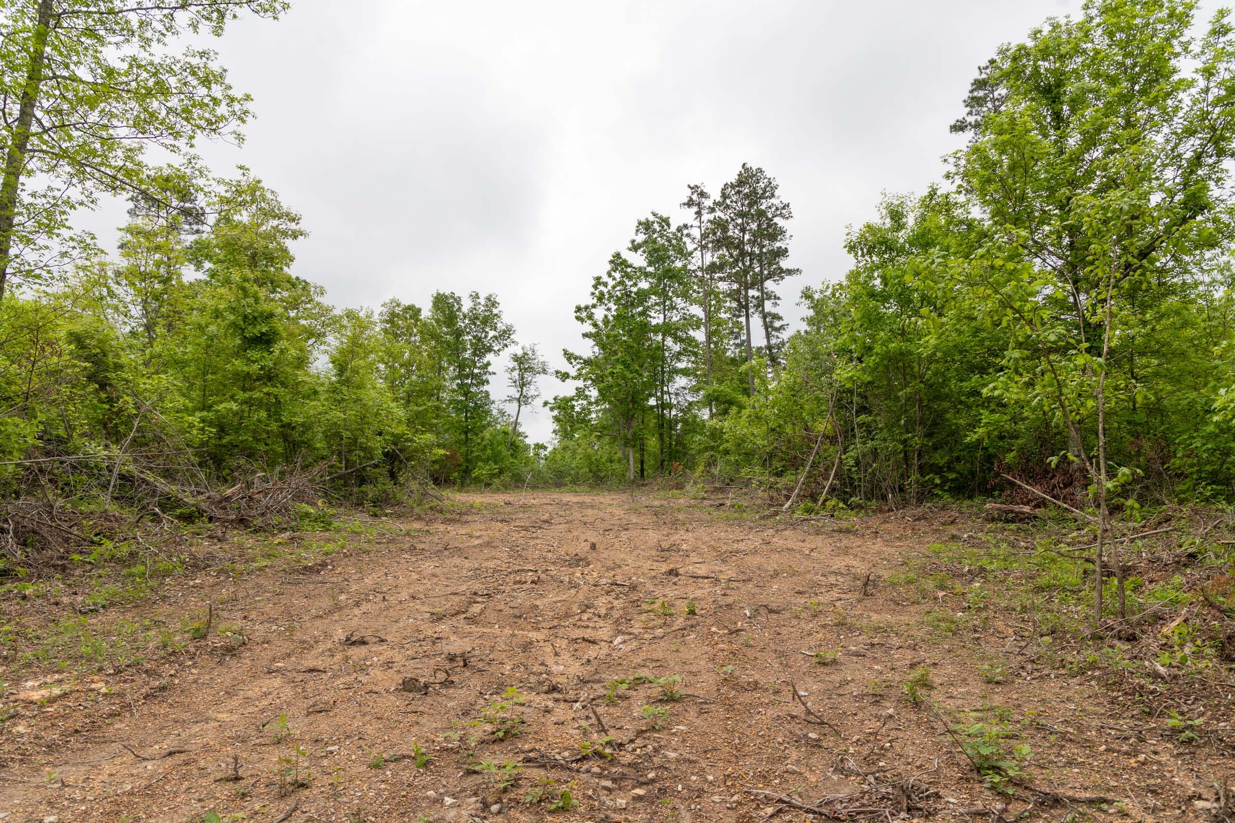Sleepy Hollow Phase II Tract 91 photo 2