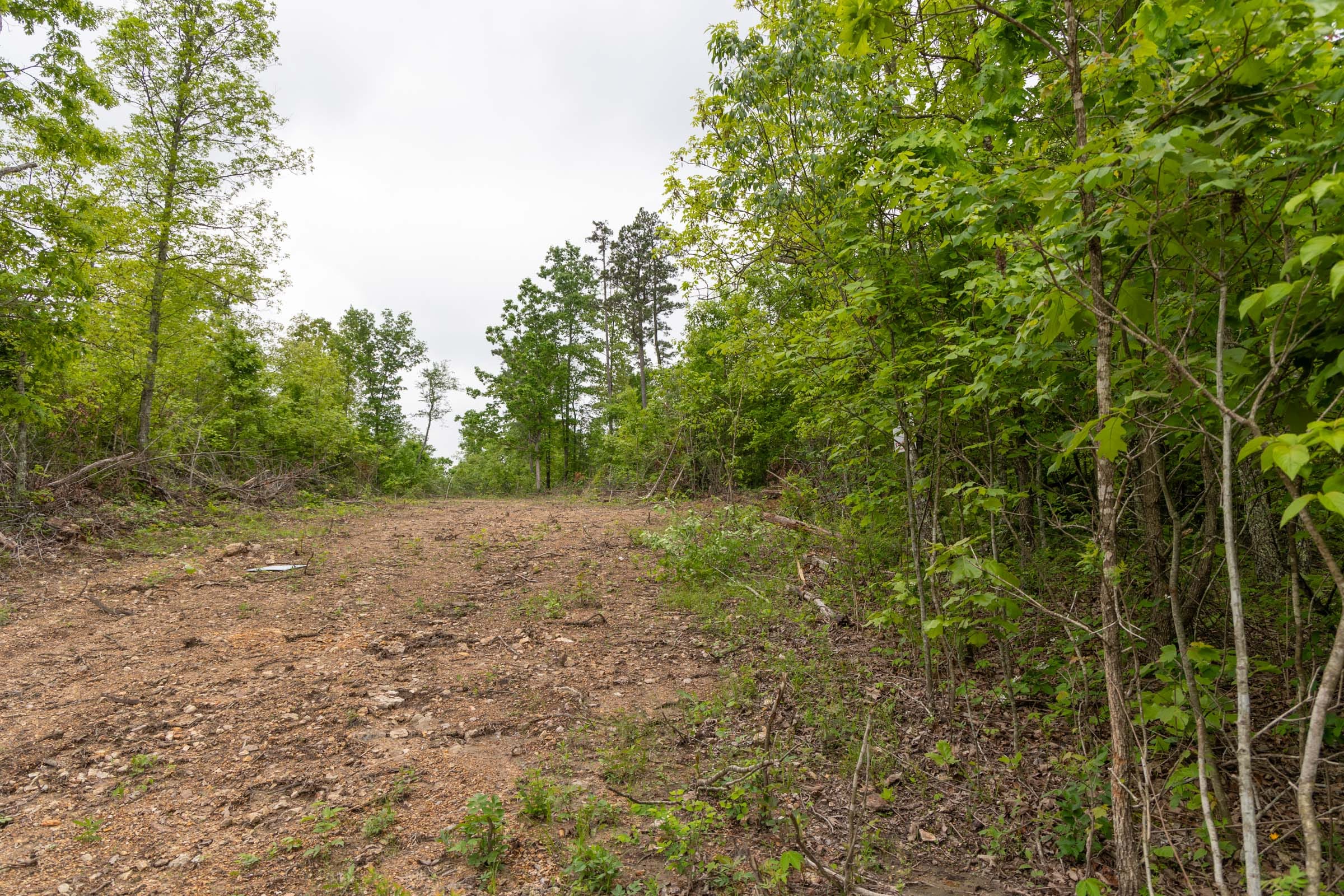 Sleepy Hollow Phase II Tract 91 photo 3