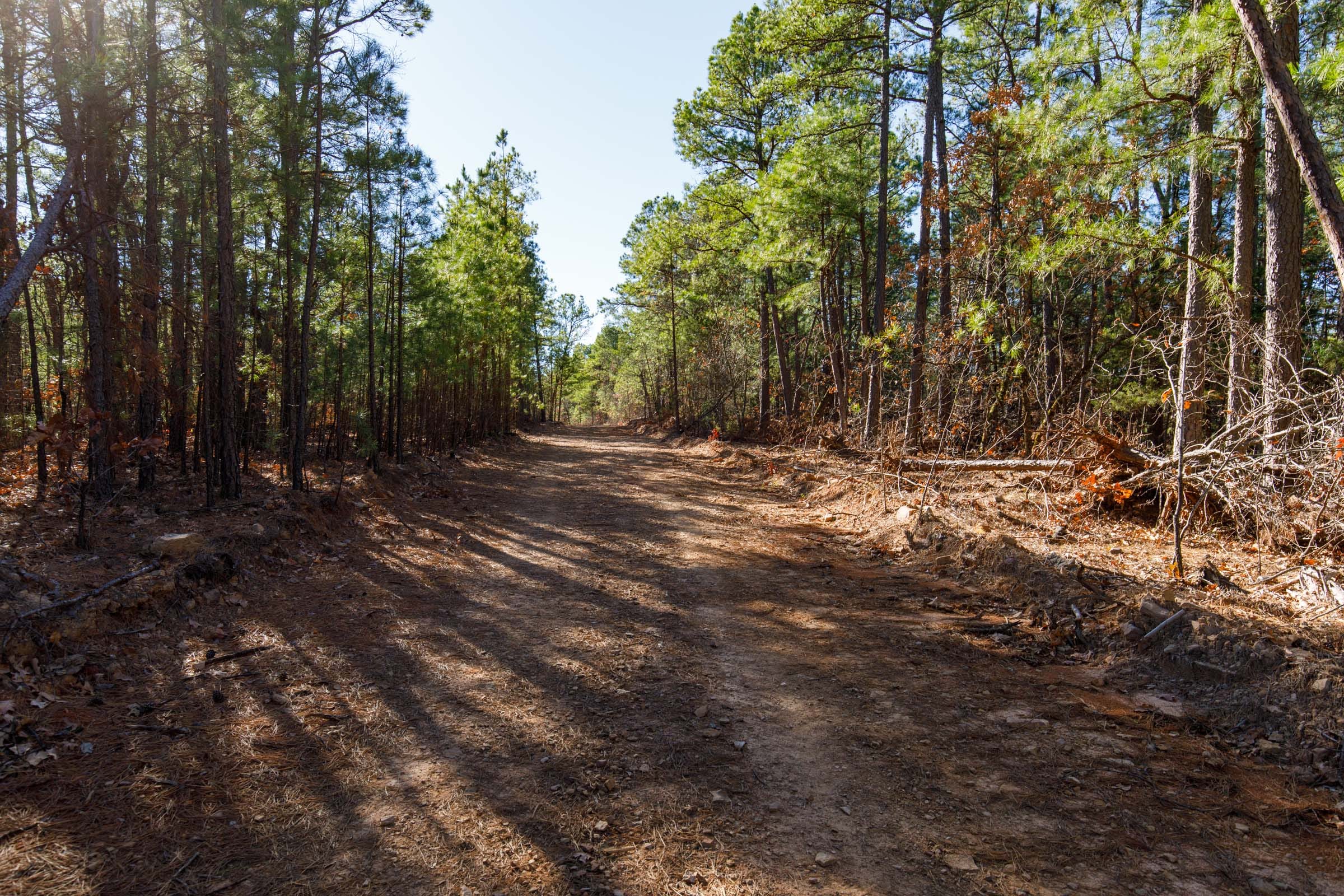 Stone Bridge Phase II Tract 111 photo 5