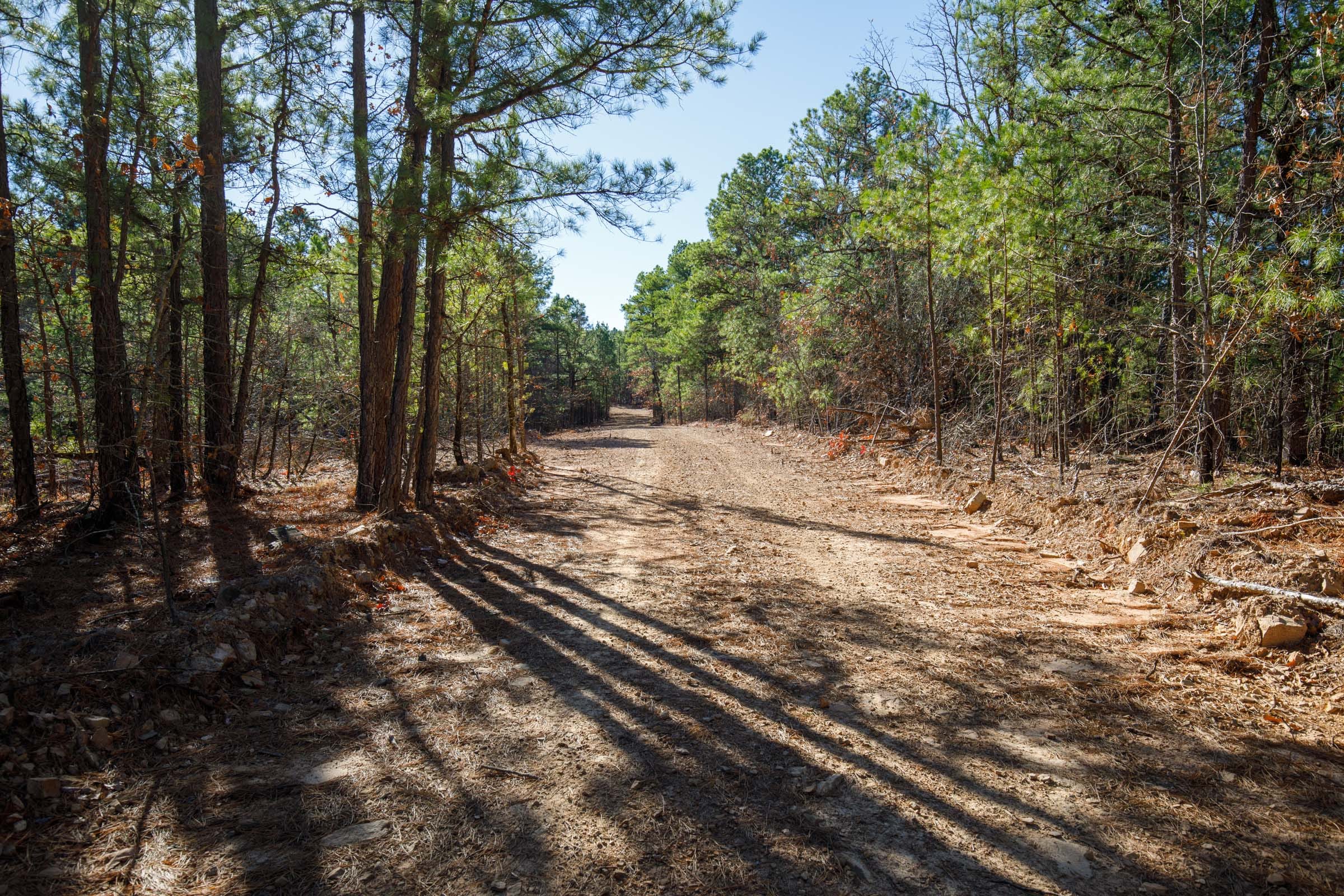 Stone Bridge Phase II Tract 111 photo 7