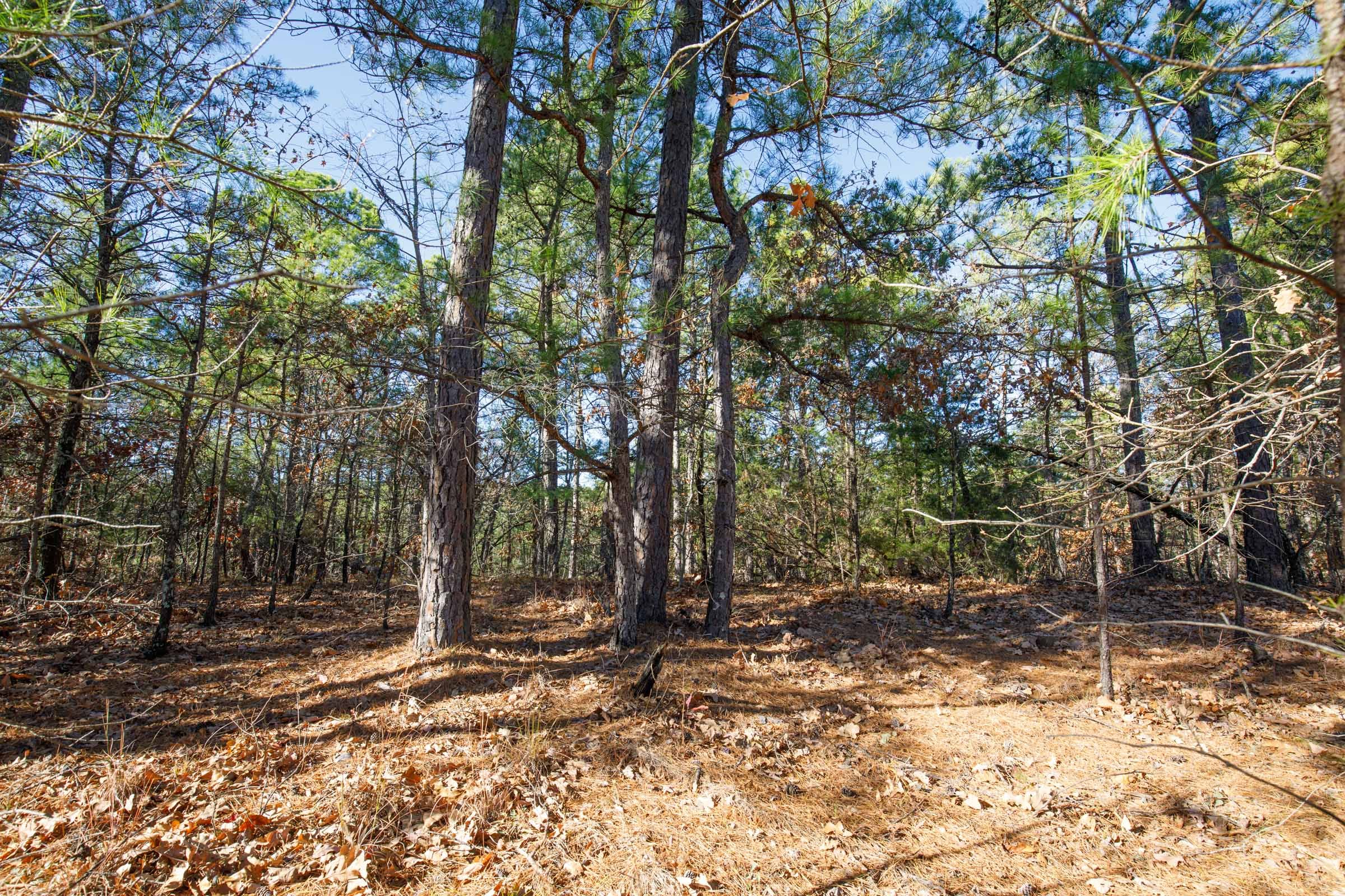 Stone Bridge Phase II Tract 111 photo 10