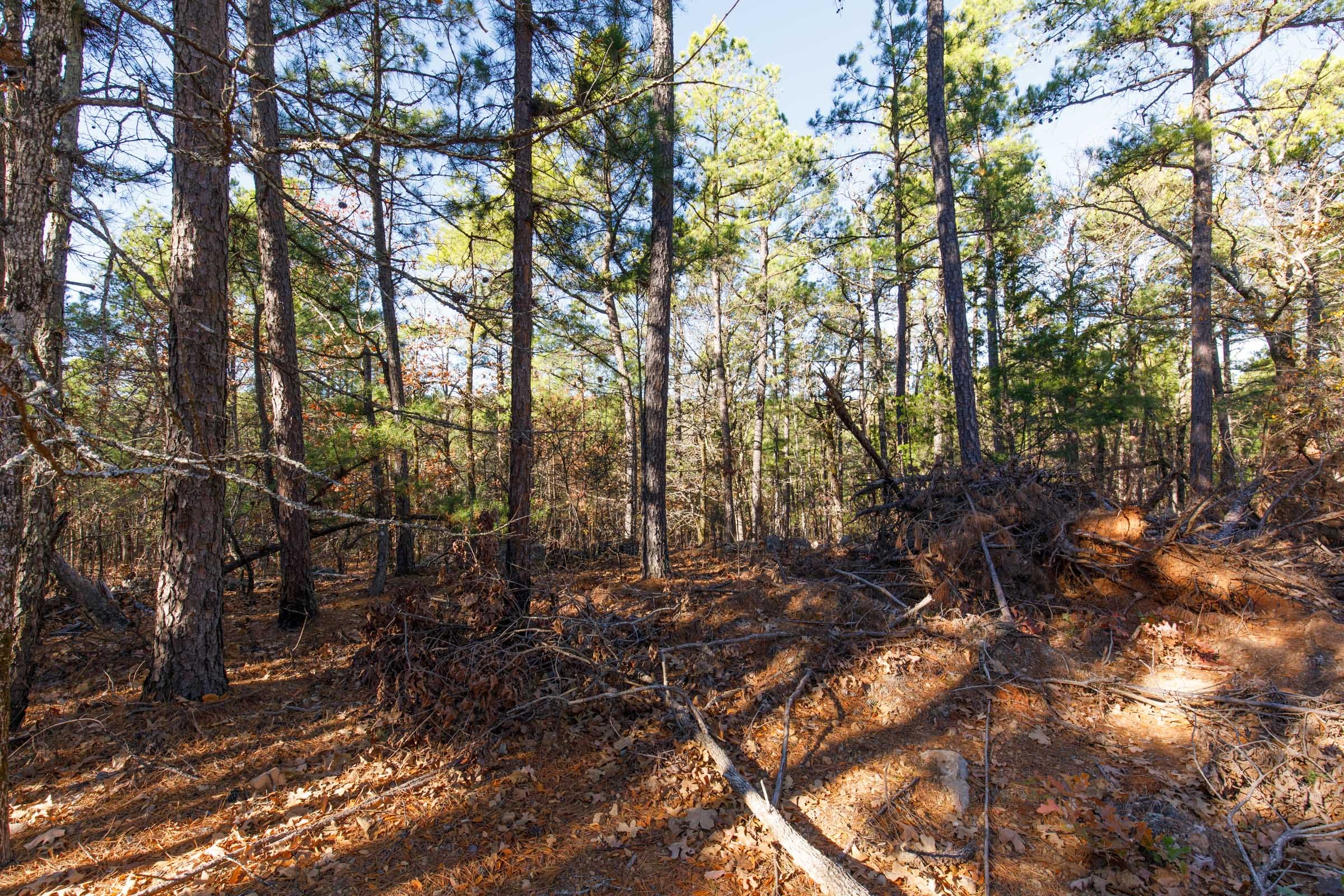 Stone Bridge Phase II Tract 111 photo 11