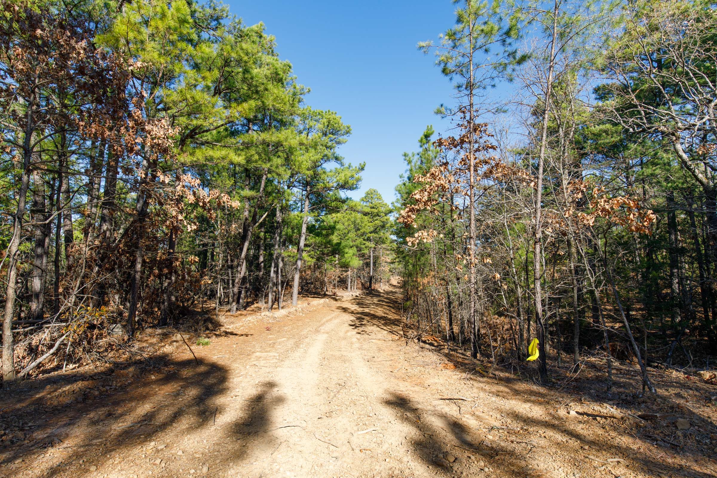 Stone Bridge Phase II Tract 111 photo 12