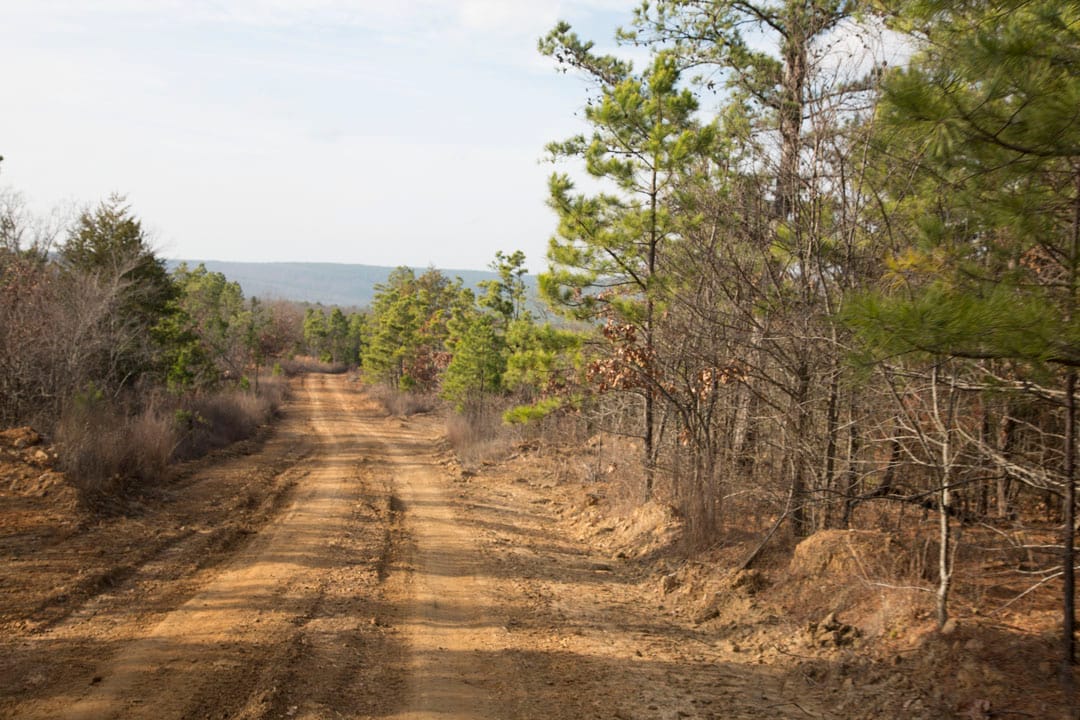Stone Creek Phase III Tract 78 photo 2