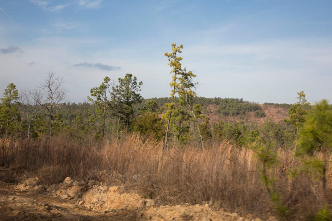 Stone Creek Phase III Tract 78 photo 3