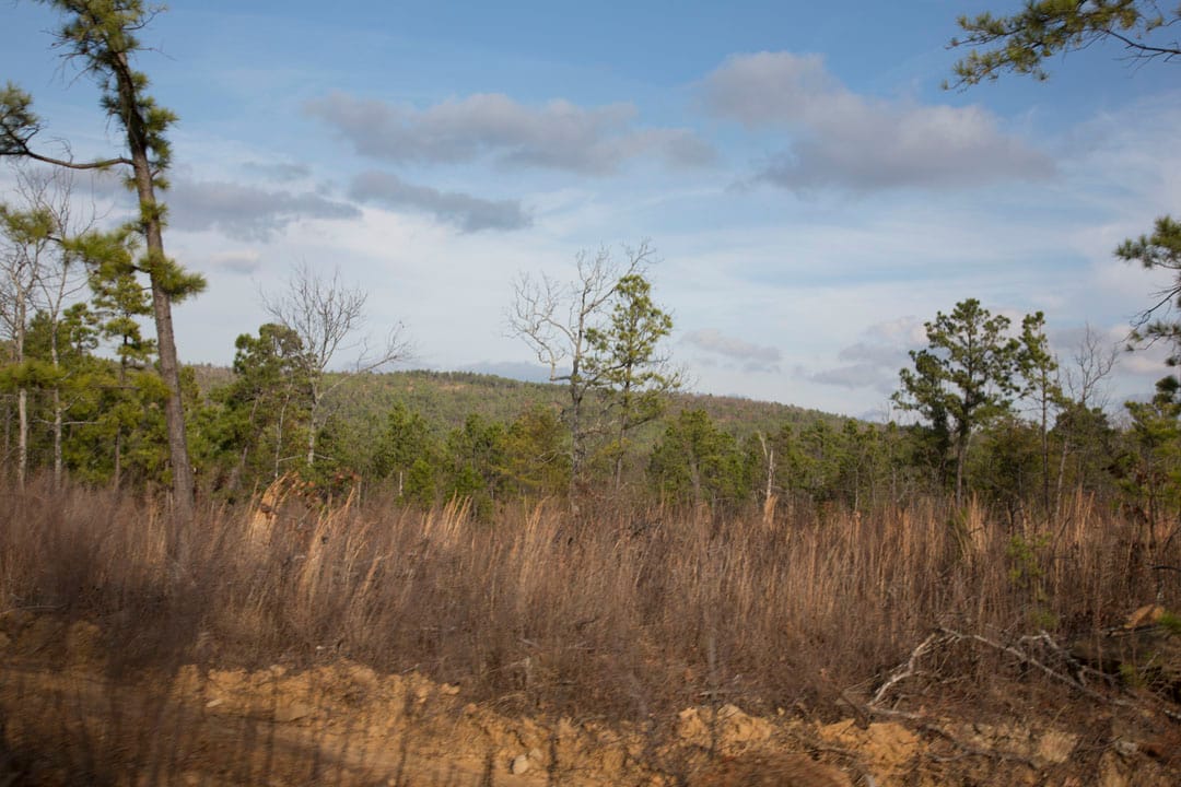 Stone Creek Phase III Tract 78 photo 4