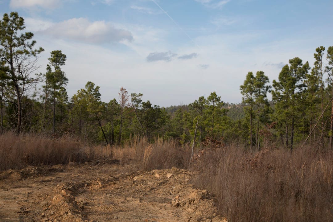 Stone Creek Phase III Tract 78 photo 5