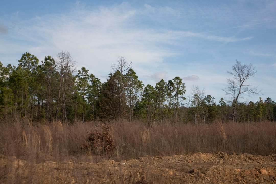Stone Creek Phase III Tract 78 photo 6