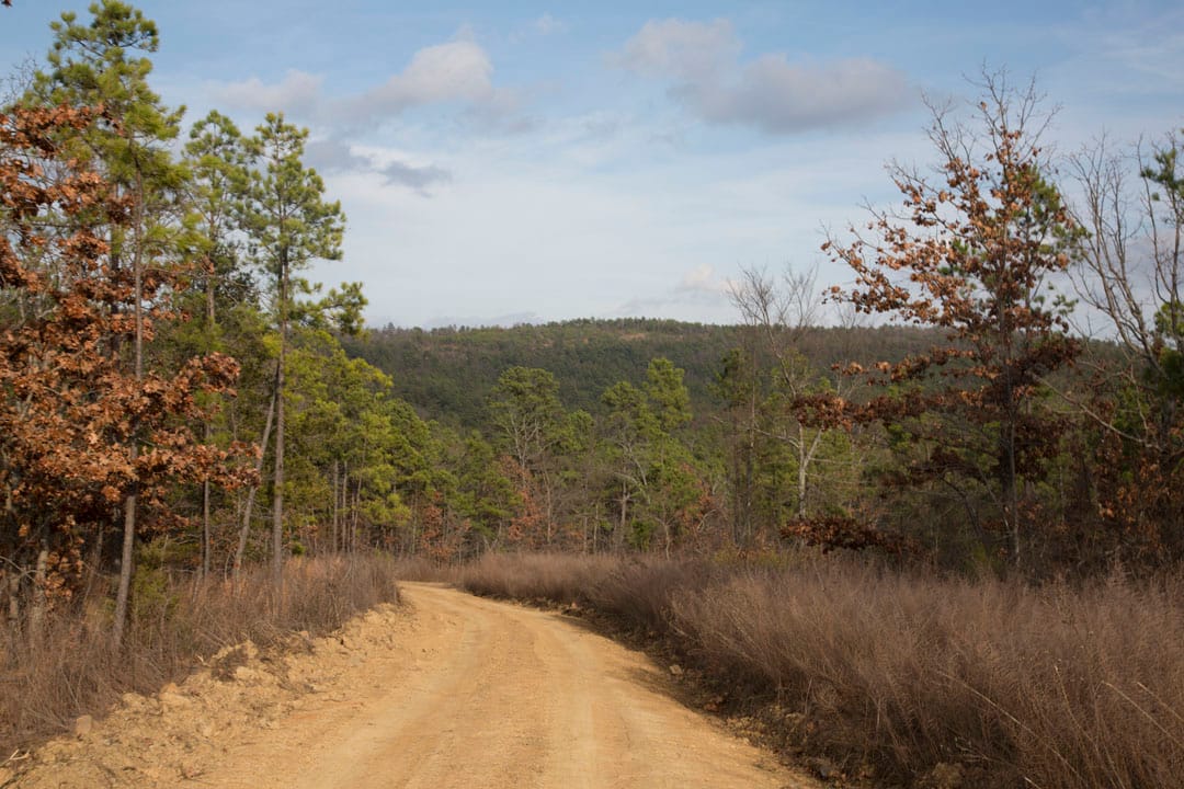 Stone Creek Phase III Tract 78 photo 8