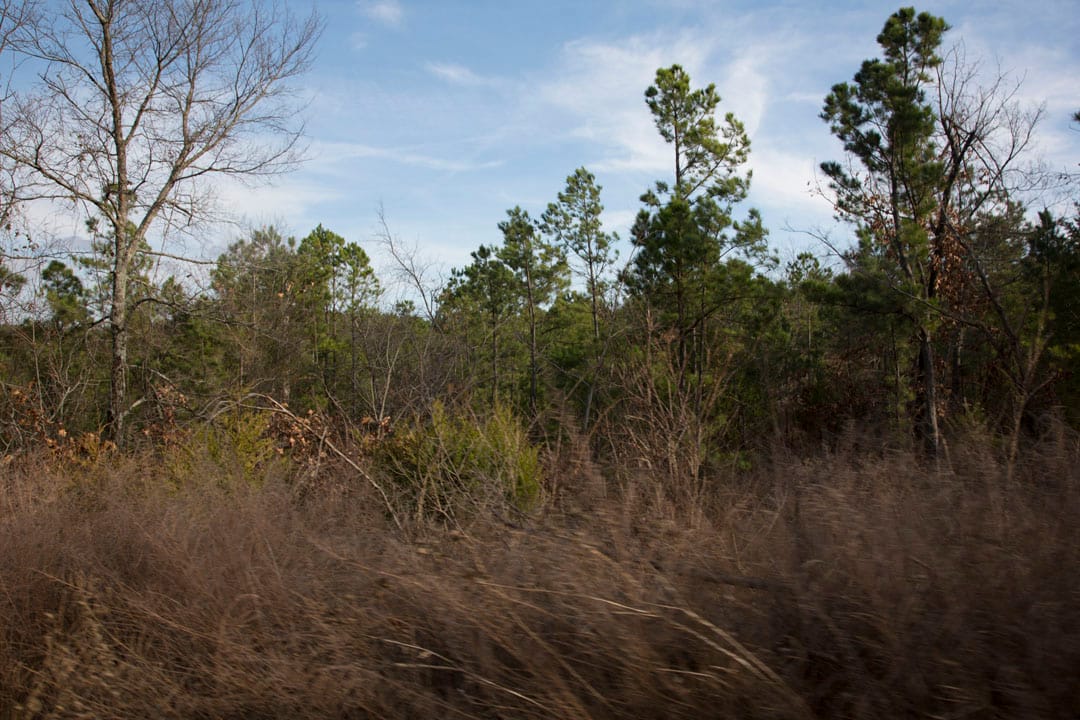 Stone Creek Phase III Tract 78 photo 9