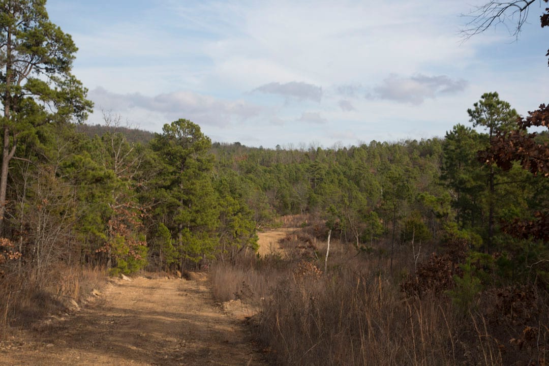 Stone Creek Phase III Tract 78 photo 10