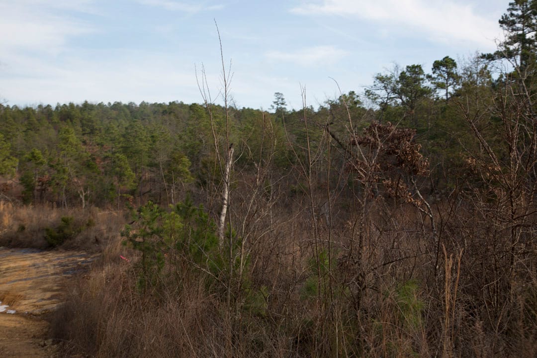 Stone Creek Phase III Tract 78 photo 12