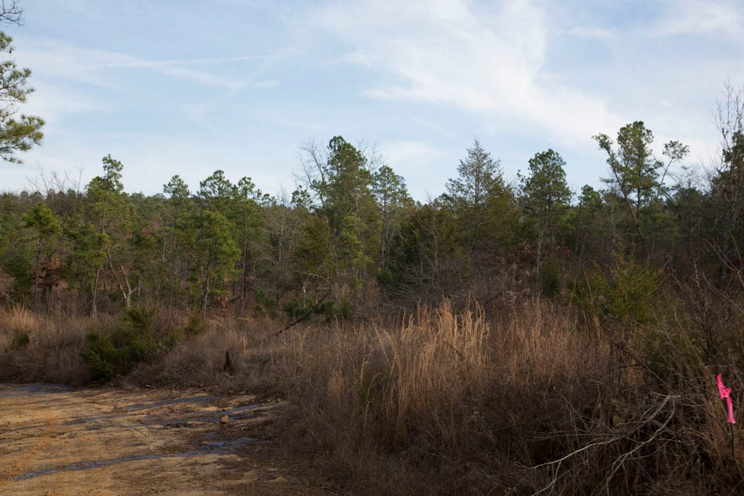 Stone Creek Phase III Tract 78 photo 13