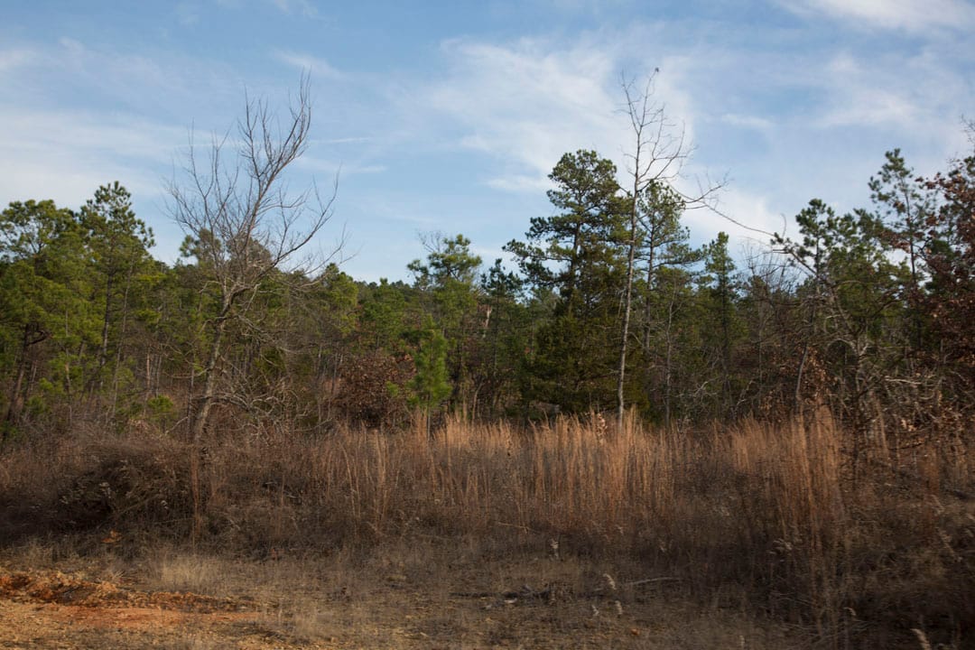 Stone Creek Phase III Tract 78 photo 14
