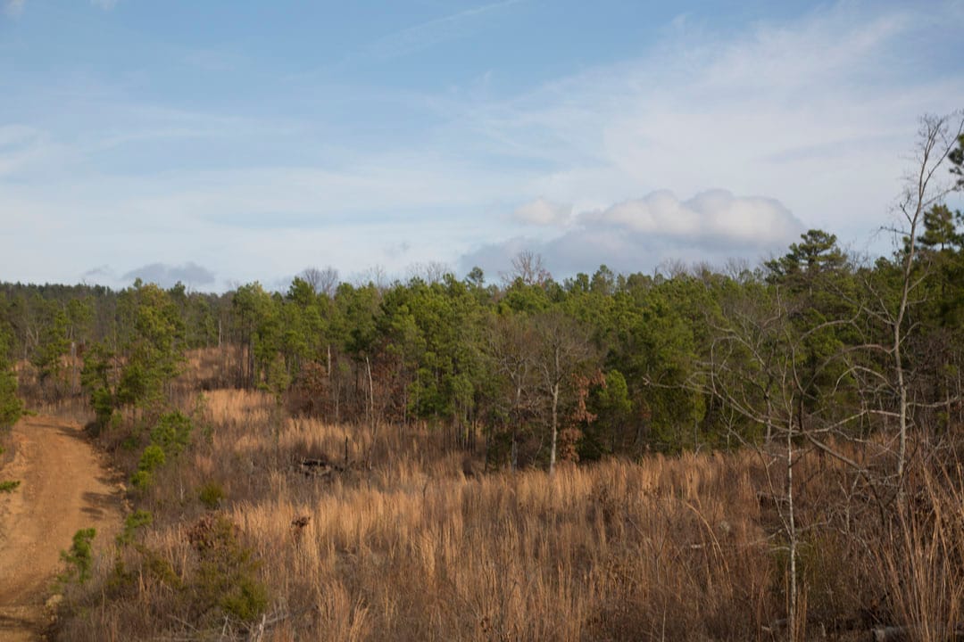 Stone Creek Phase III Tract 78 photo 15