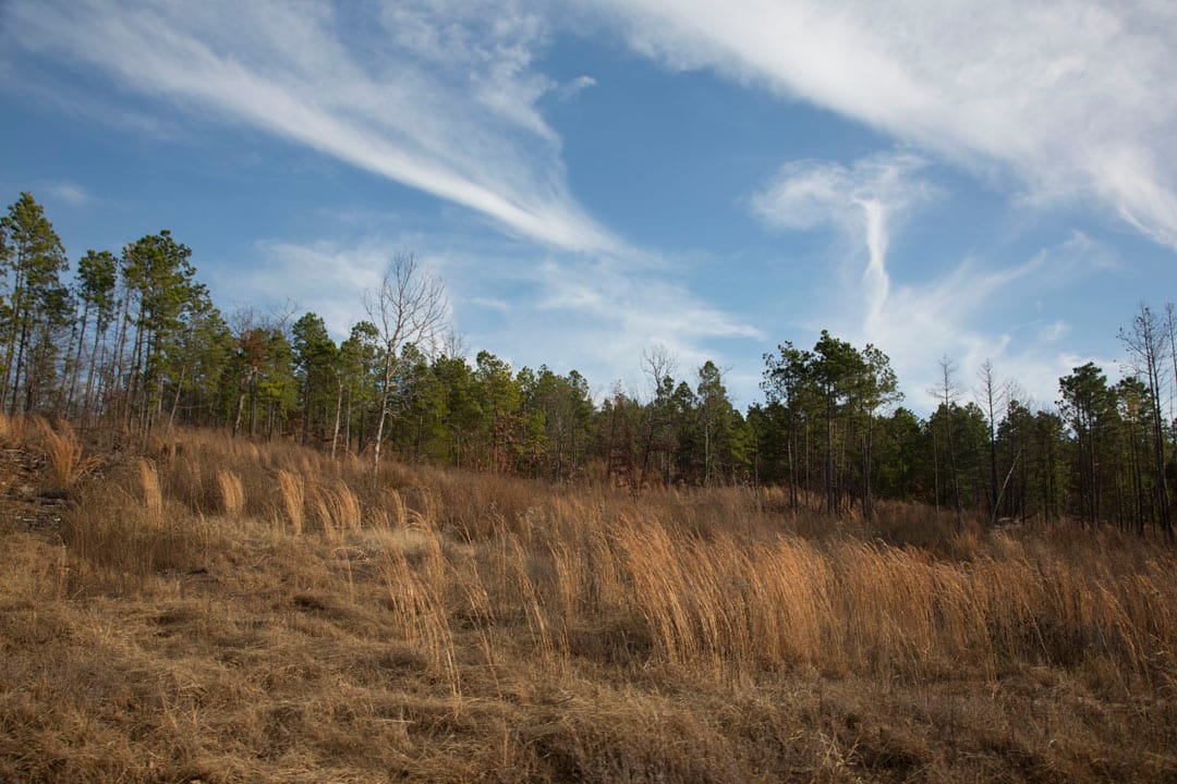Stone Creek Phase III Tract 78 photo 16